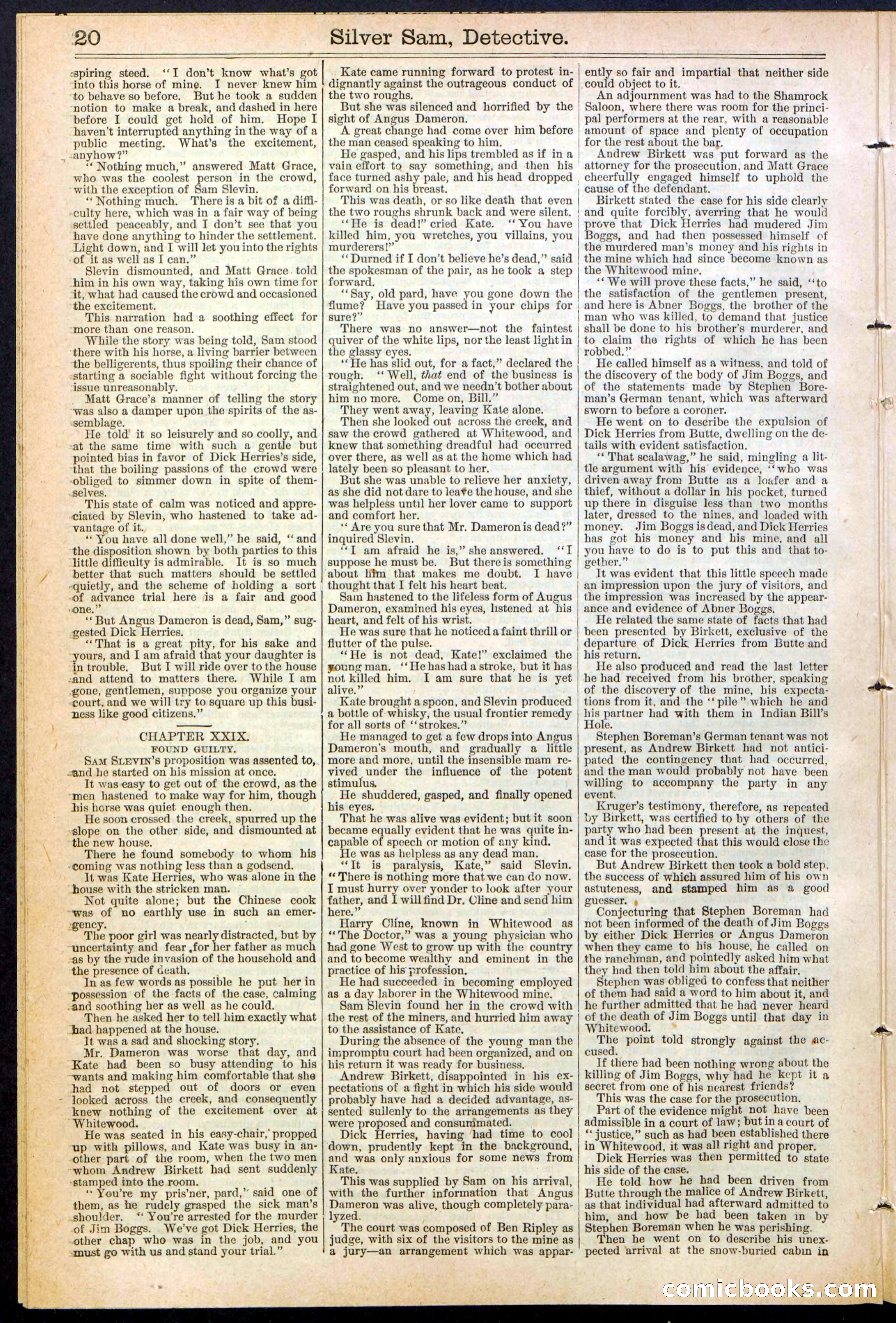 Beadle's New York Dime Library No. 383 — page 20 of 32