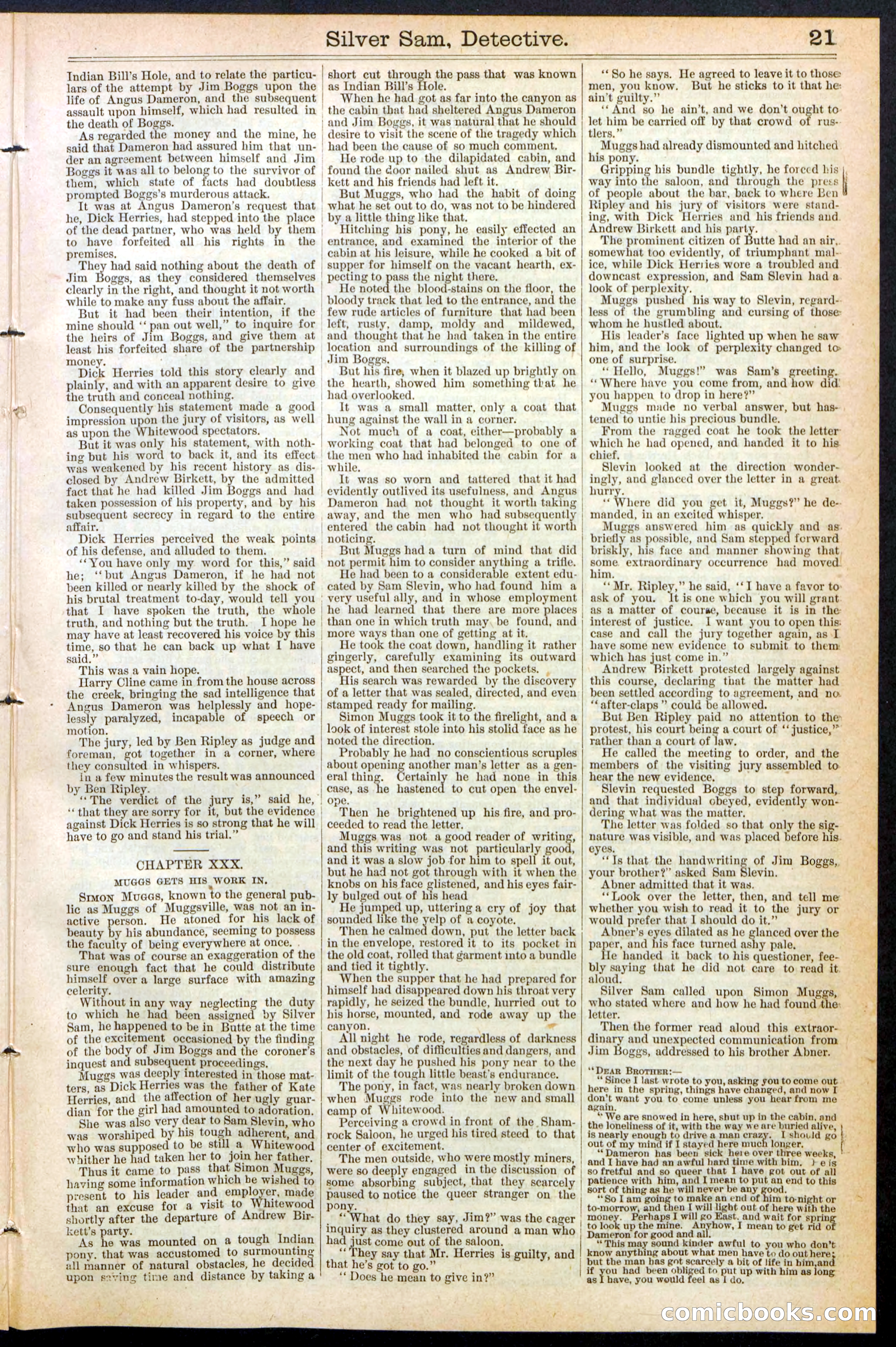 Beadle's New York Dime Library No. 383 — page 21 of 32