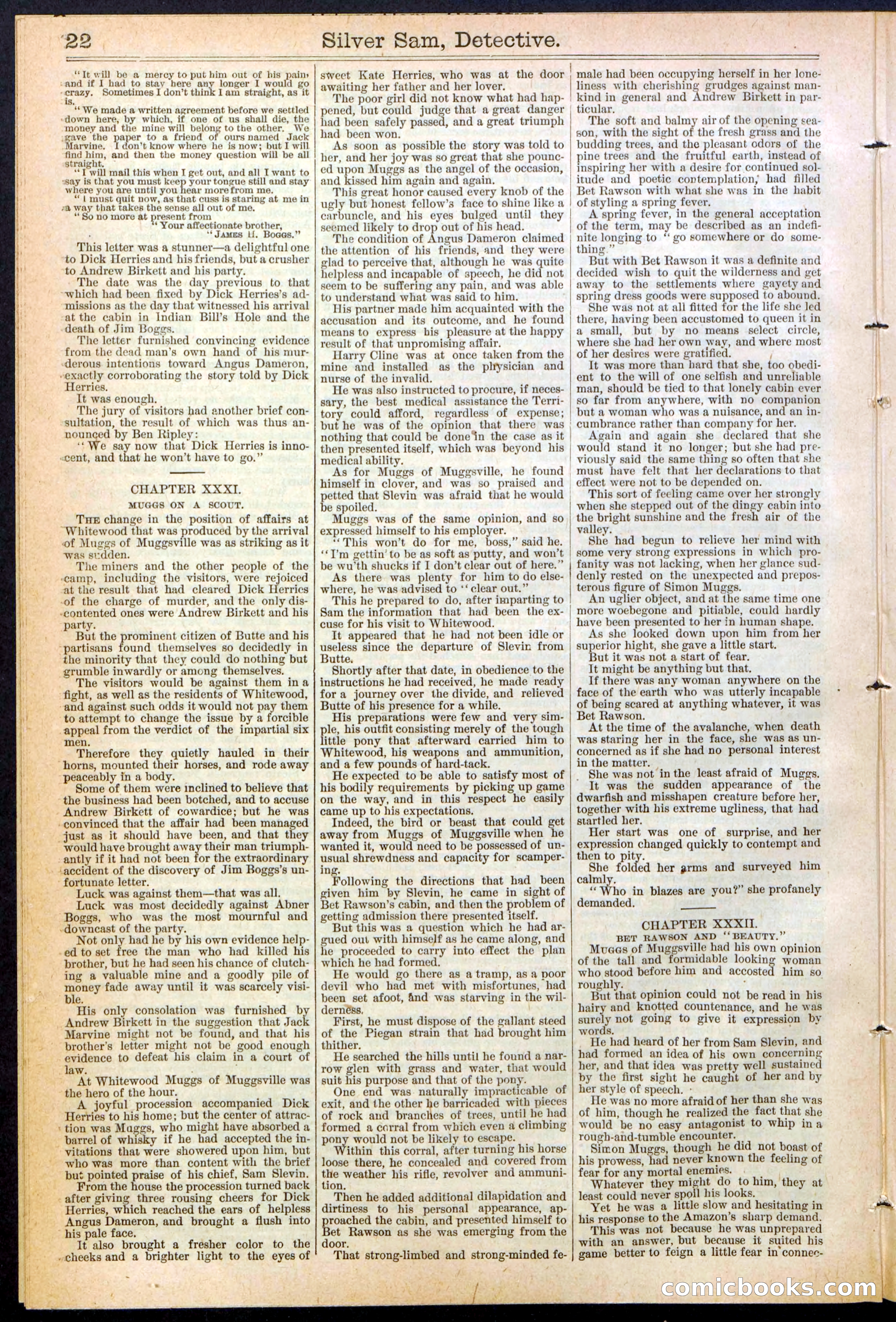 Beadle's New York Dime Library No. 383 — page 22 of 32