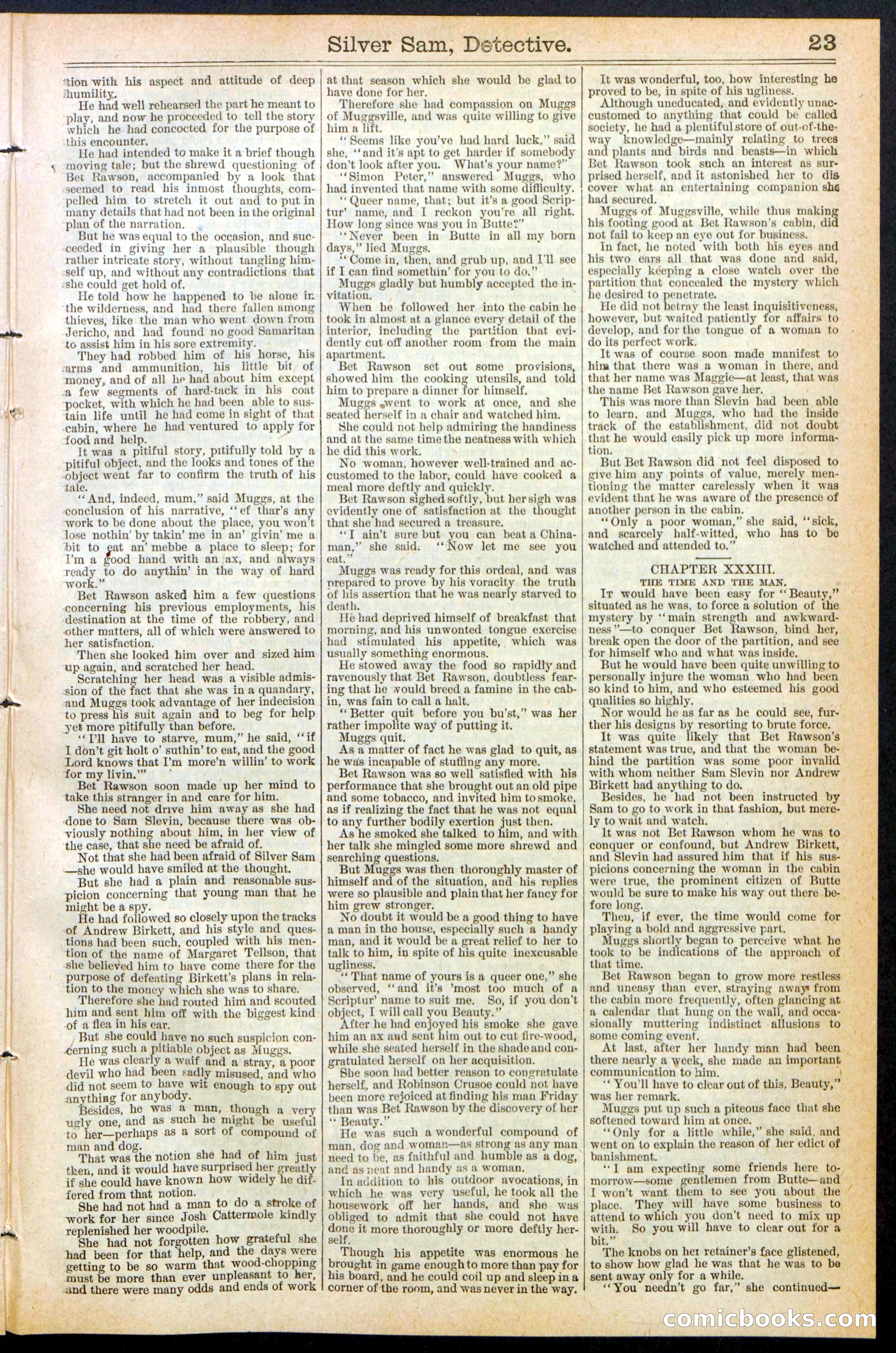 Beadle's New York Dime Library No. 383 — page 23 of 32