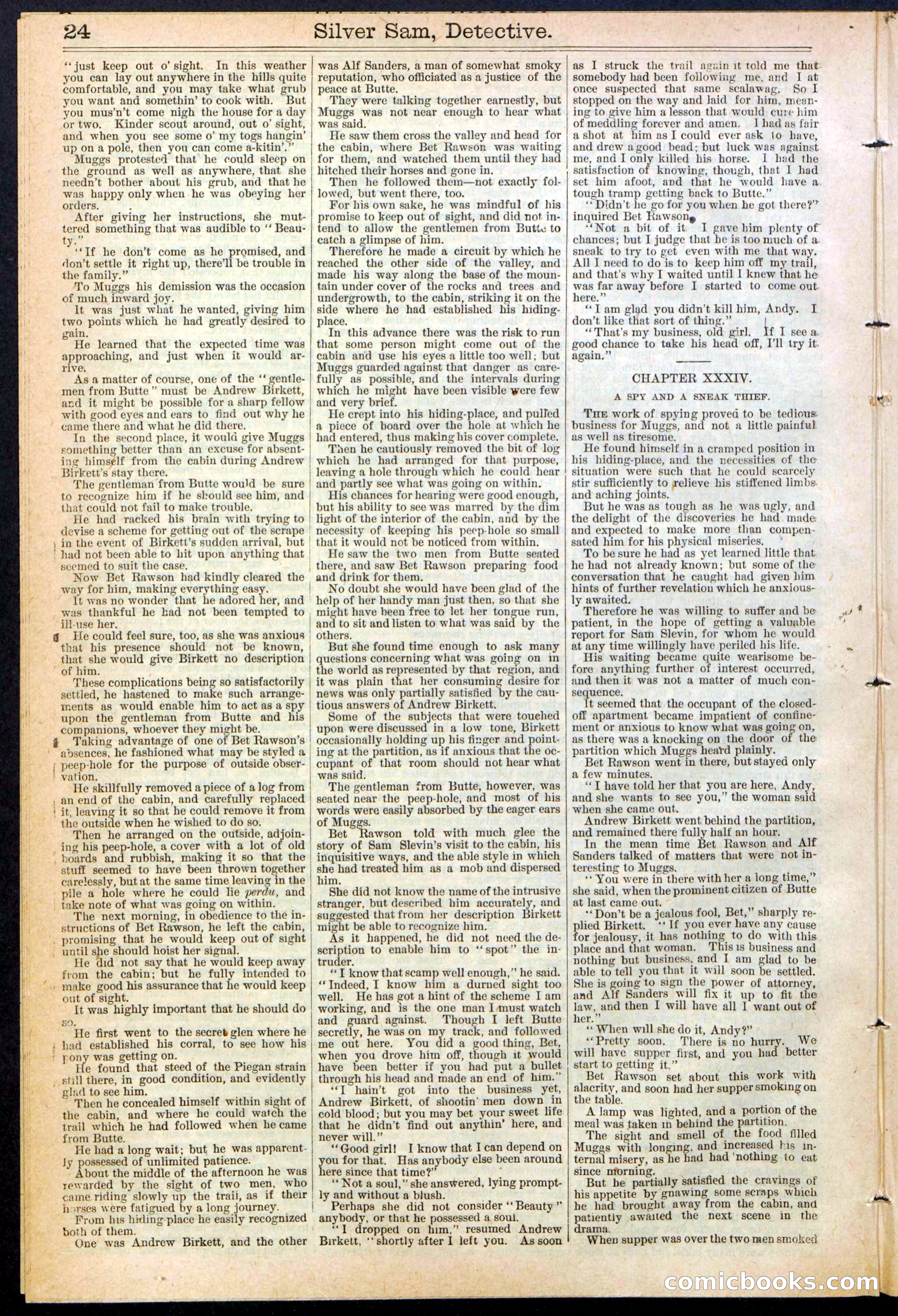 Beadle's New York Dime Library No. 383 — page 24 of 32