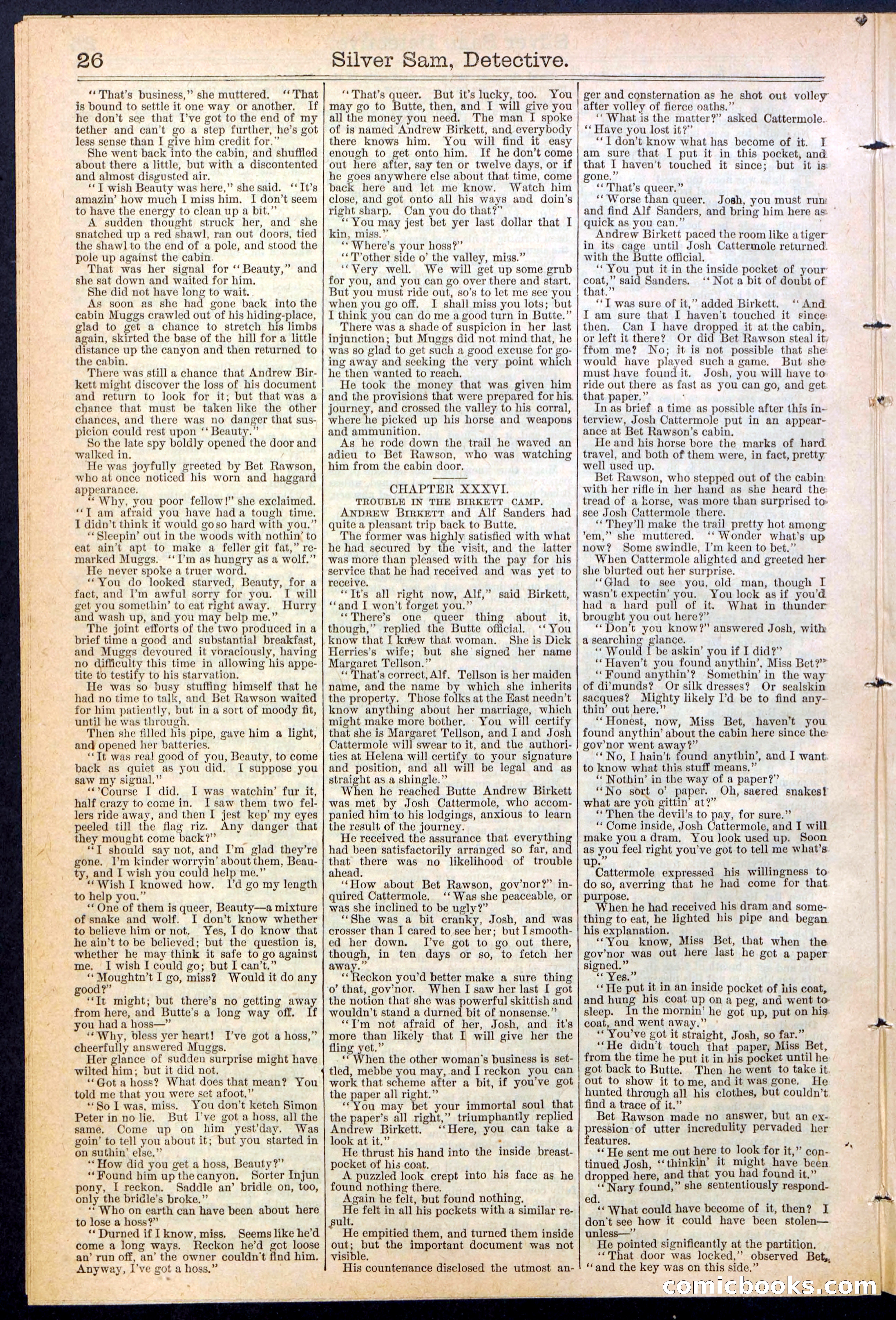 Beadle's New York Dime Library No. 383 — page 26 of 32