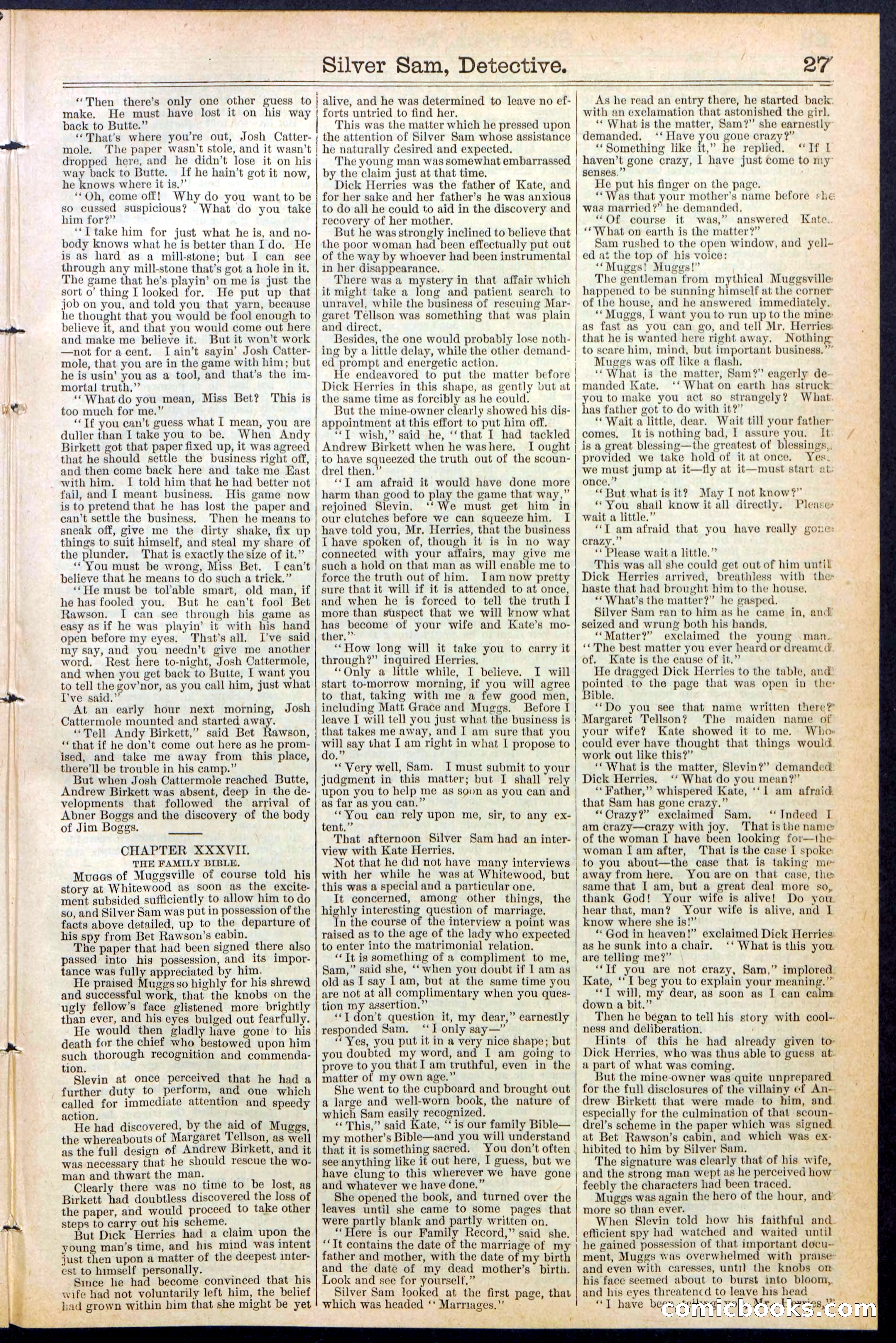 Beadle's New York Dime Library No. 383 — page 27 of 32