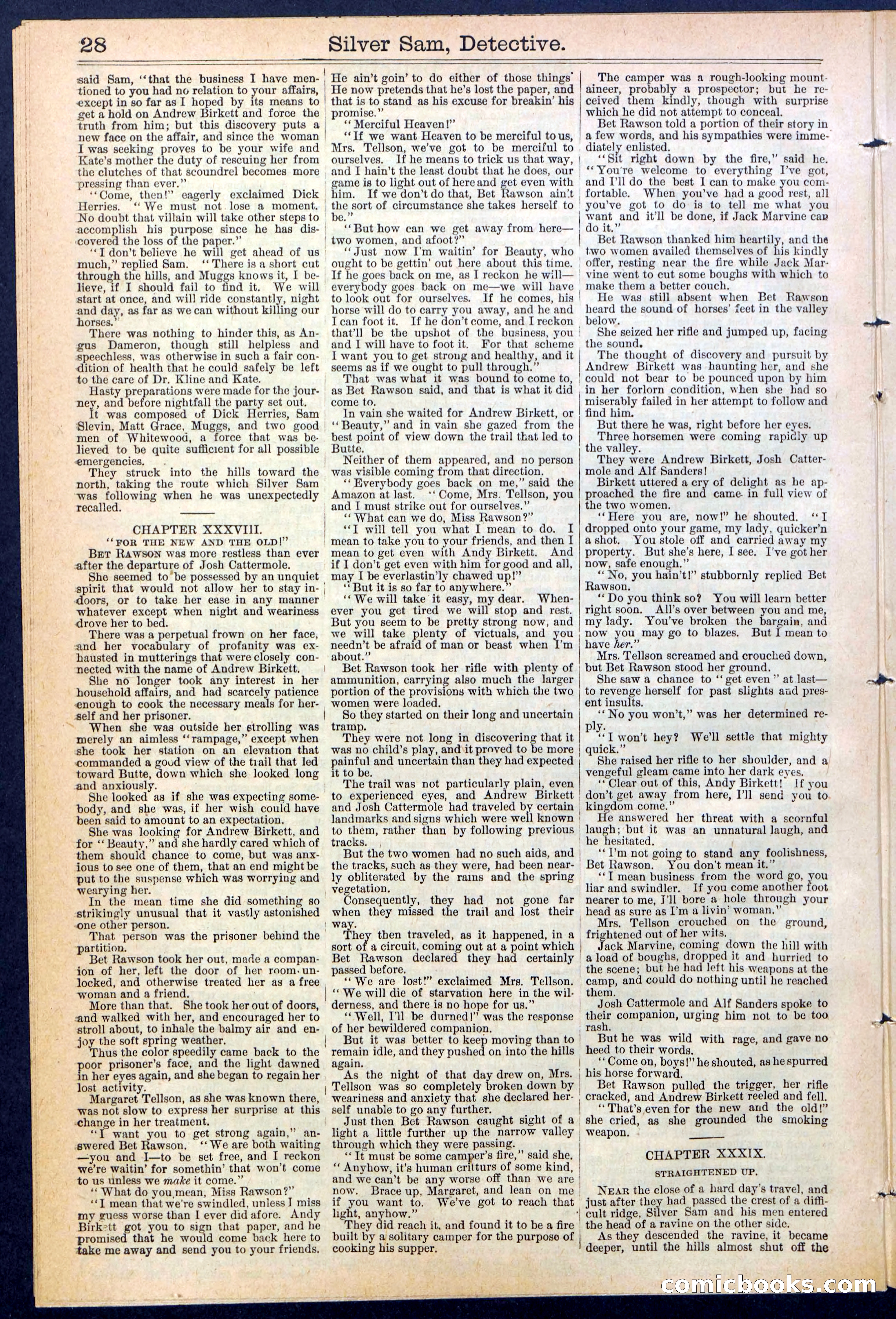 Beadle's New York Dime Library No. 383 — page 28 of 32