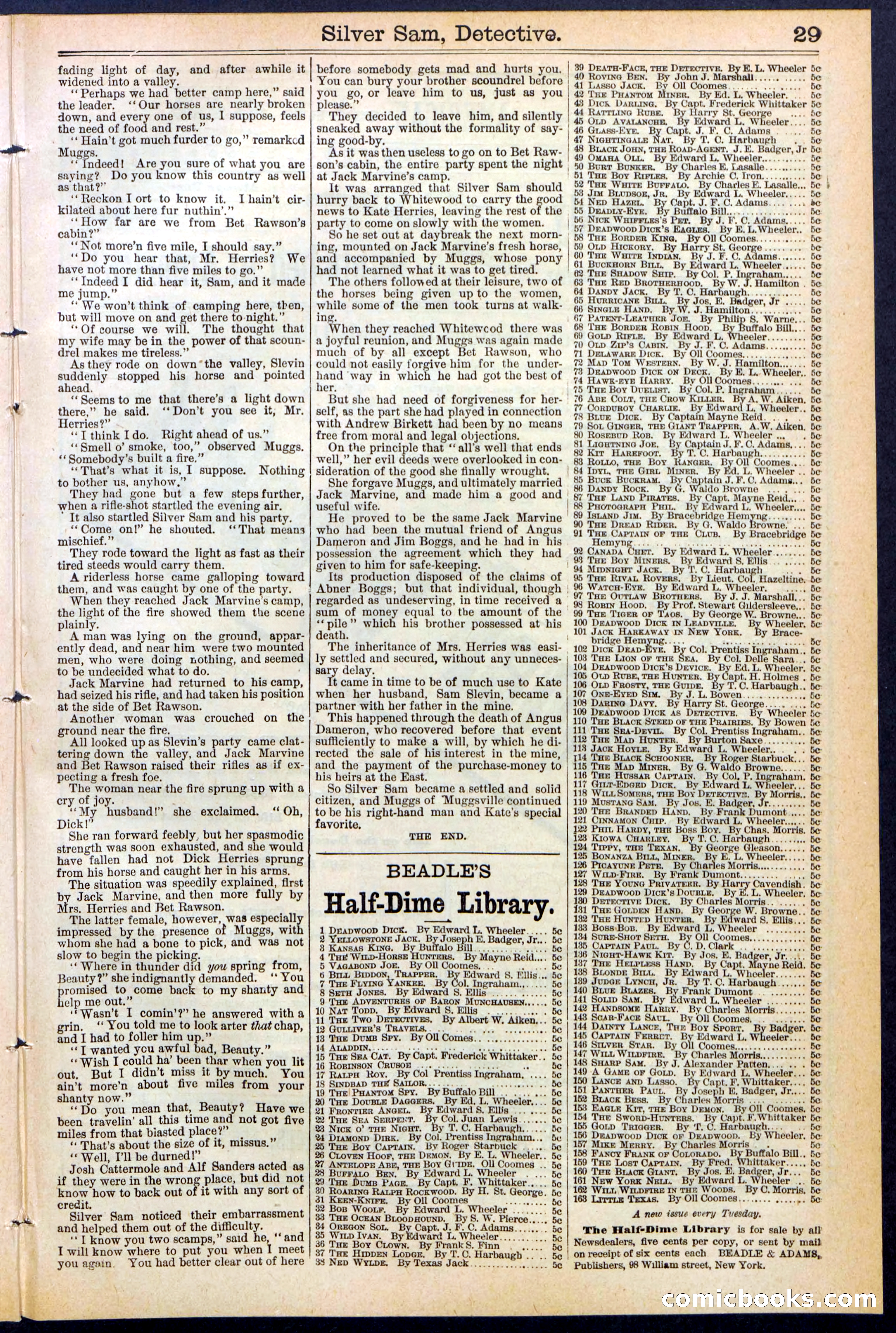 Beadle's New York Dime Library No. 383 — page 29 of 32