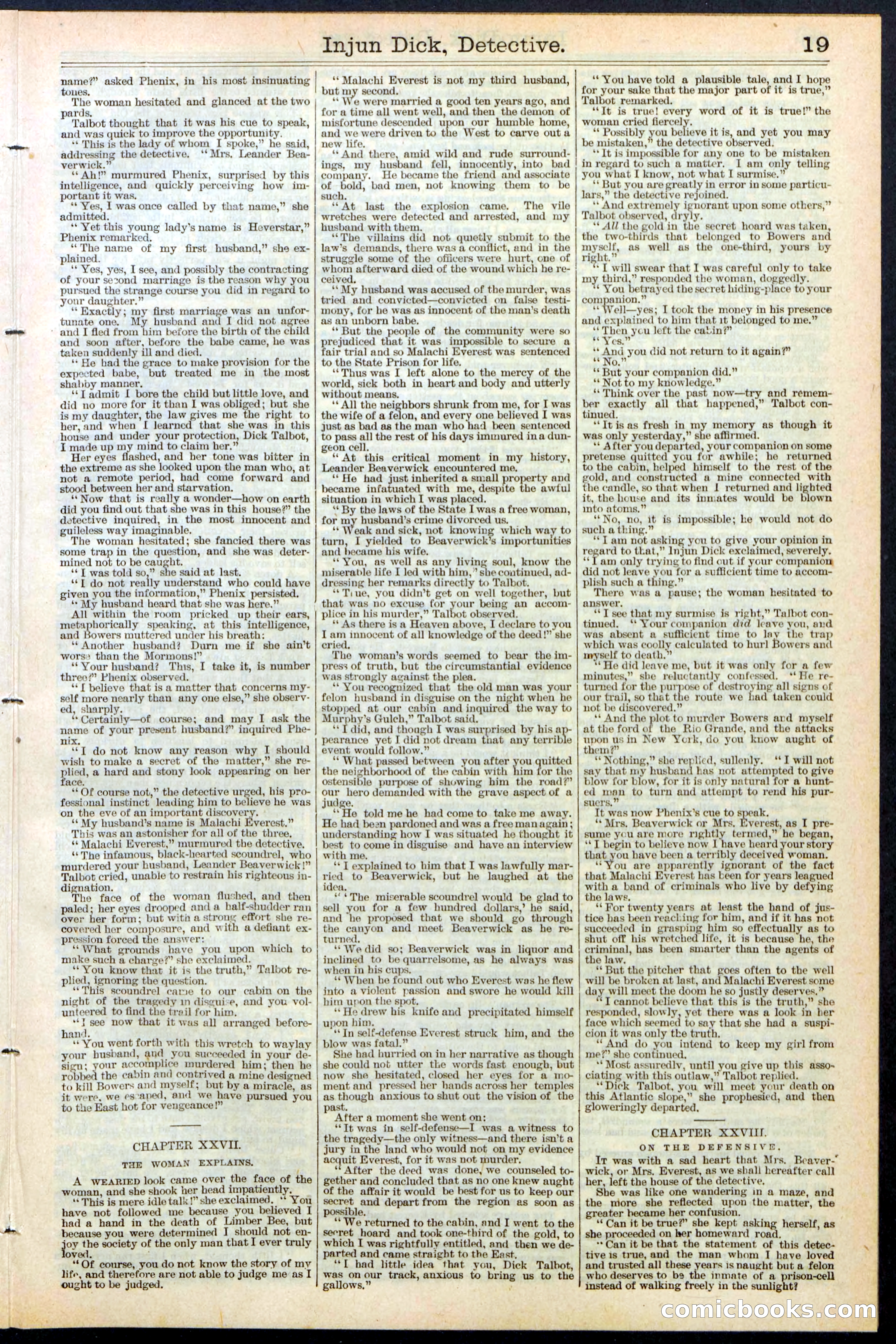 Beadle's Dime Library No. 384 — page 19 of 32