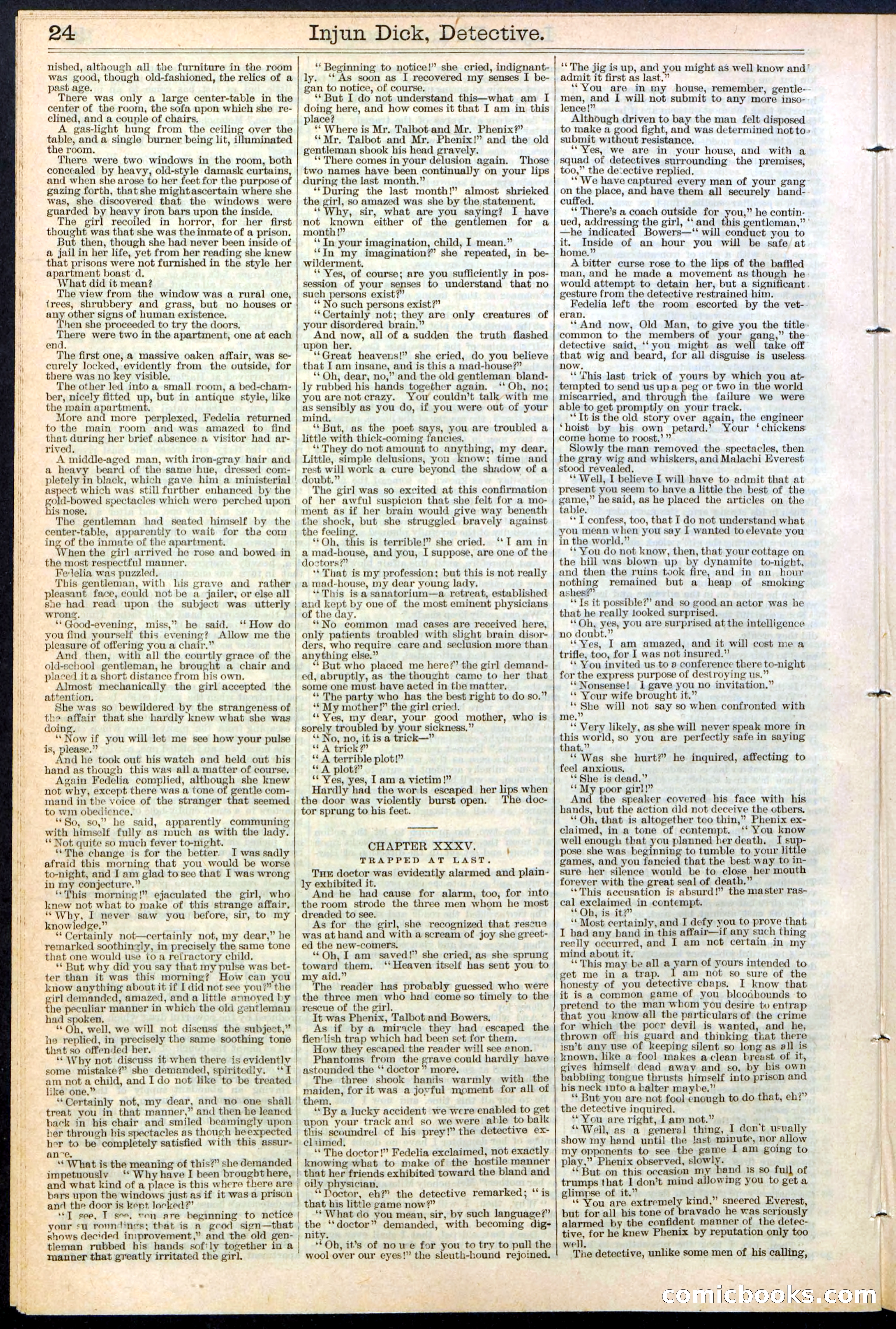 Beadle's Dime Library No. 384 — page 24 of 32