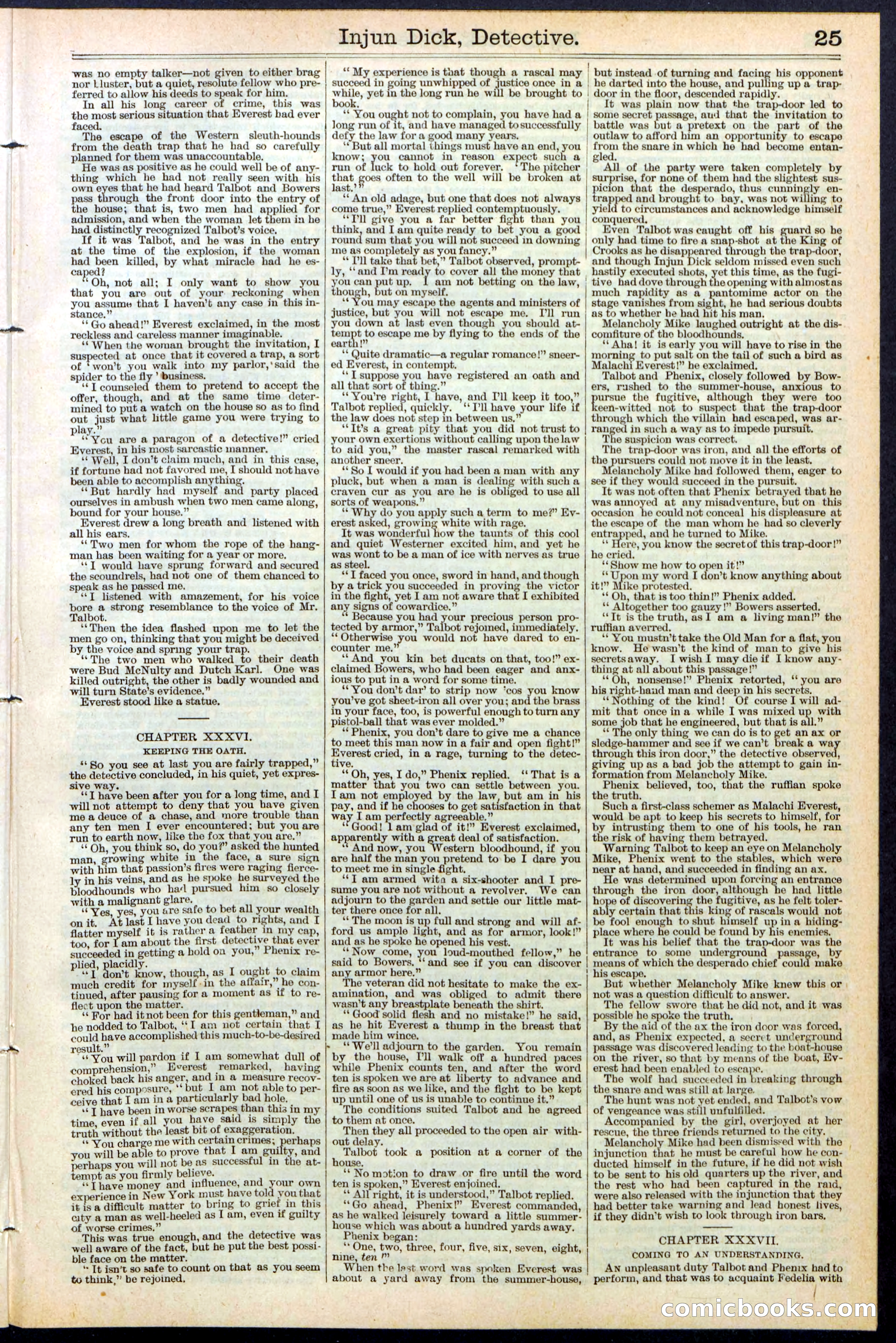 Beadle's Dime Library No. 384 — page 25 of 32