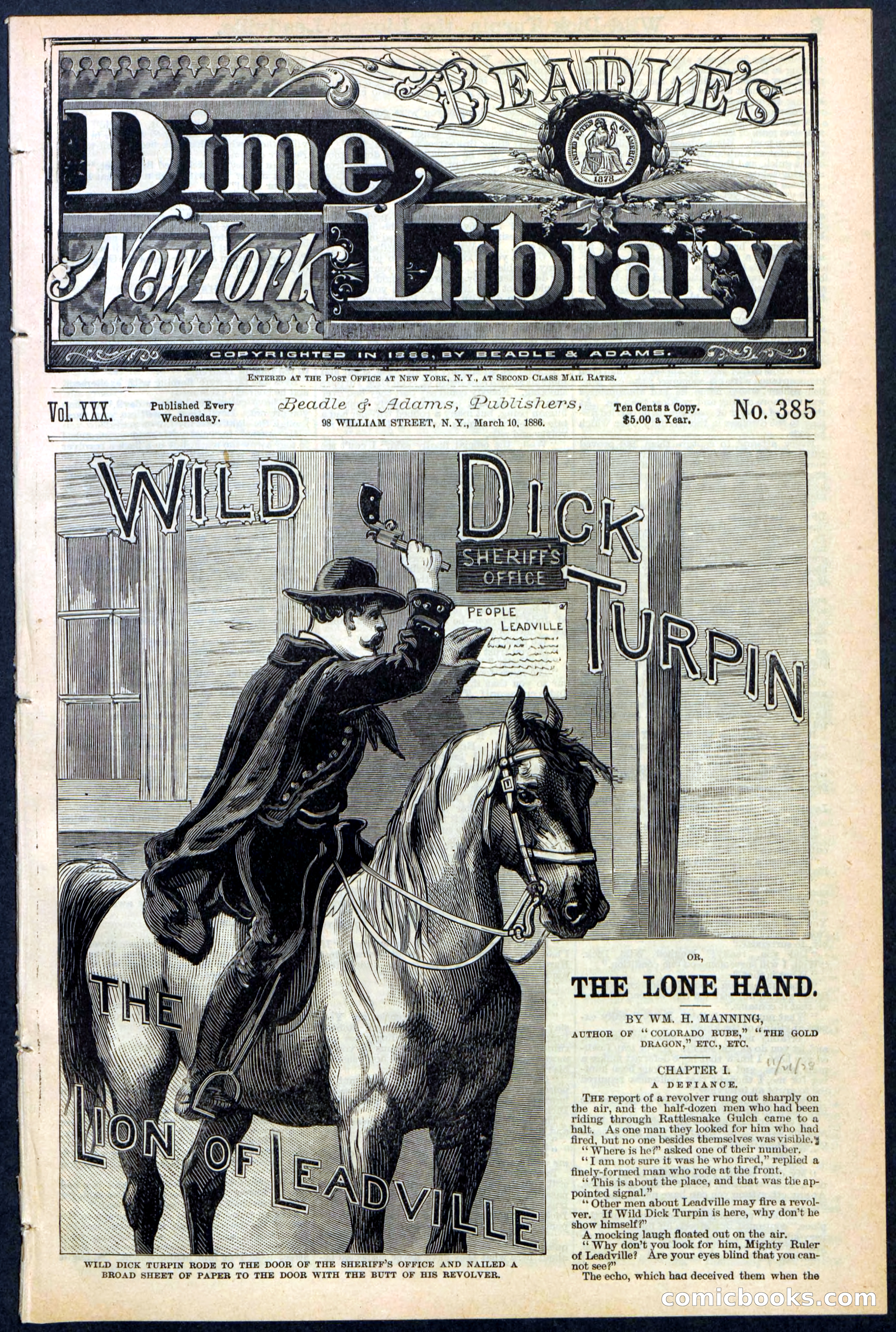Beadle's New York Dime Library No. 385 — page 1 of 32