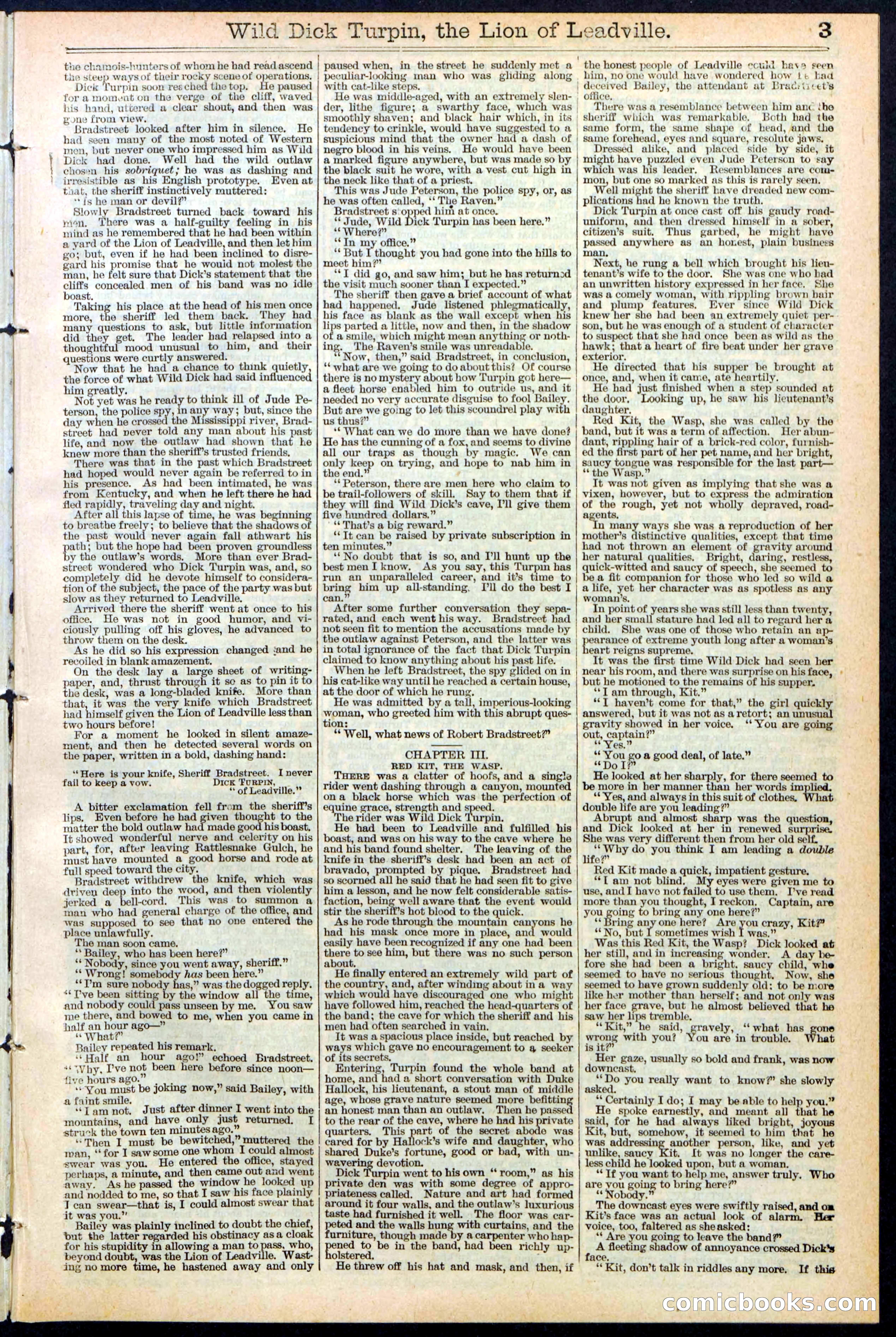 Beadle's New York Dime Library No. 385 — page 3 of 32