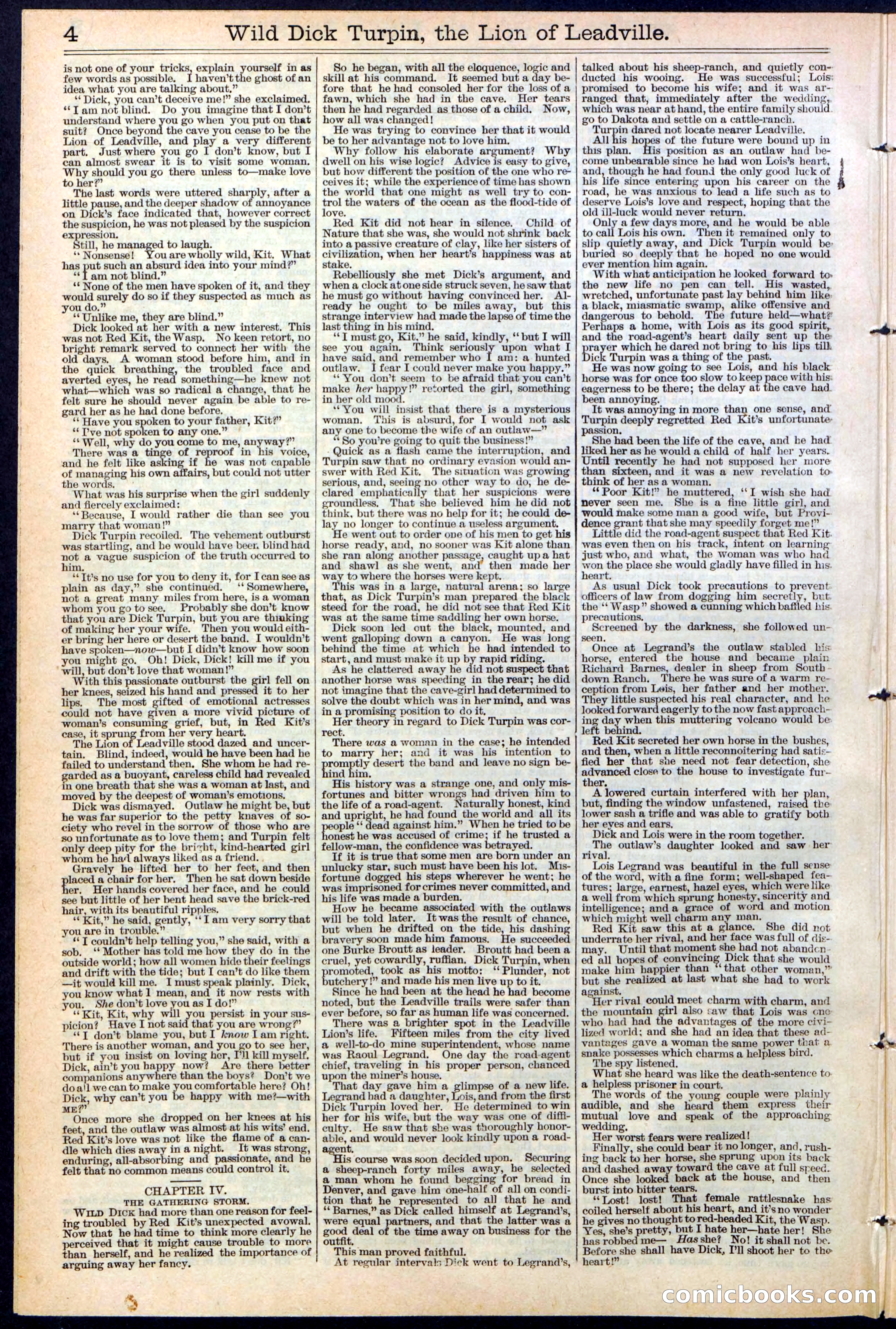 Beadle's New York Dime Library No. 385 — page 4 of 32