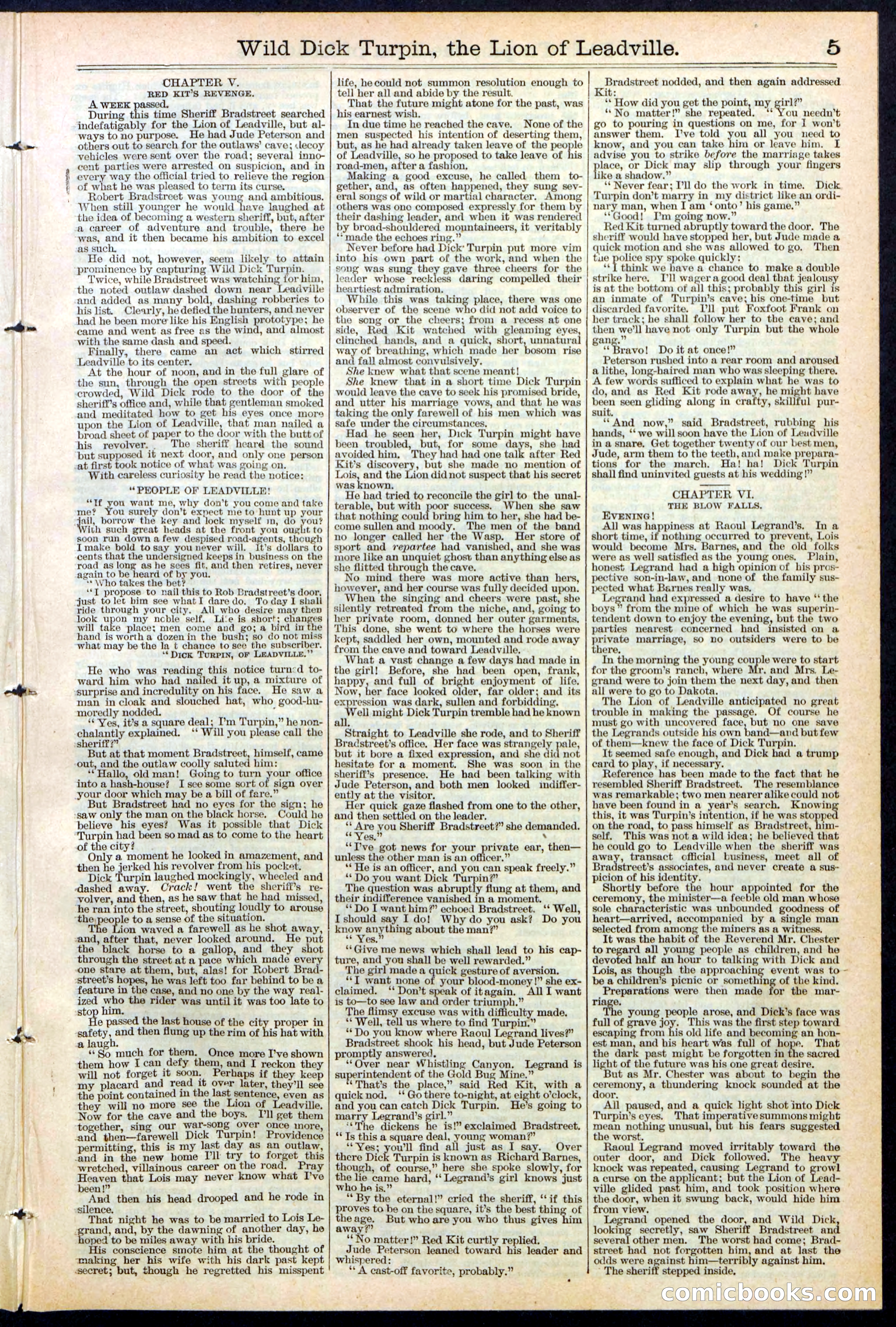 Beadle's New York Dime Library No. 385 — page 5 of 32