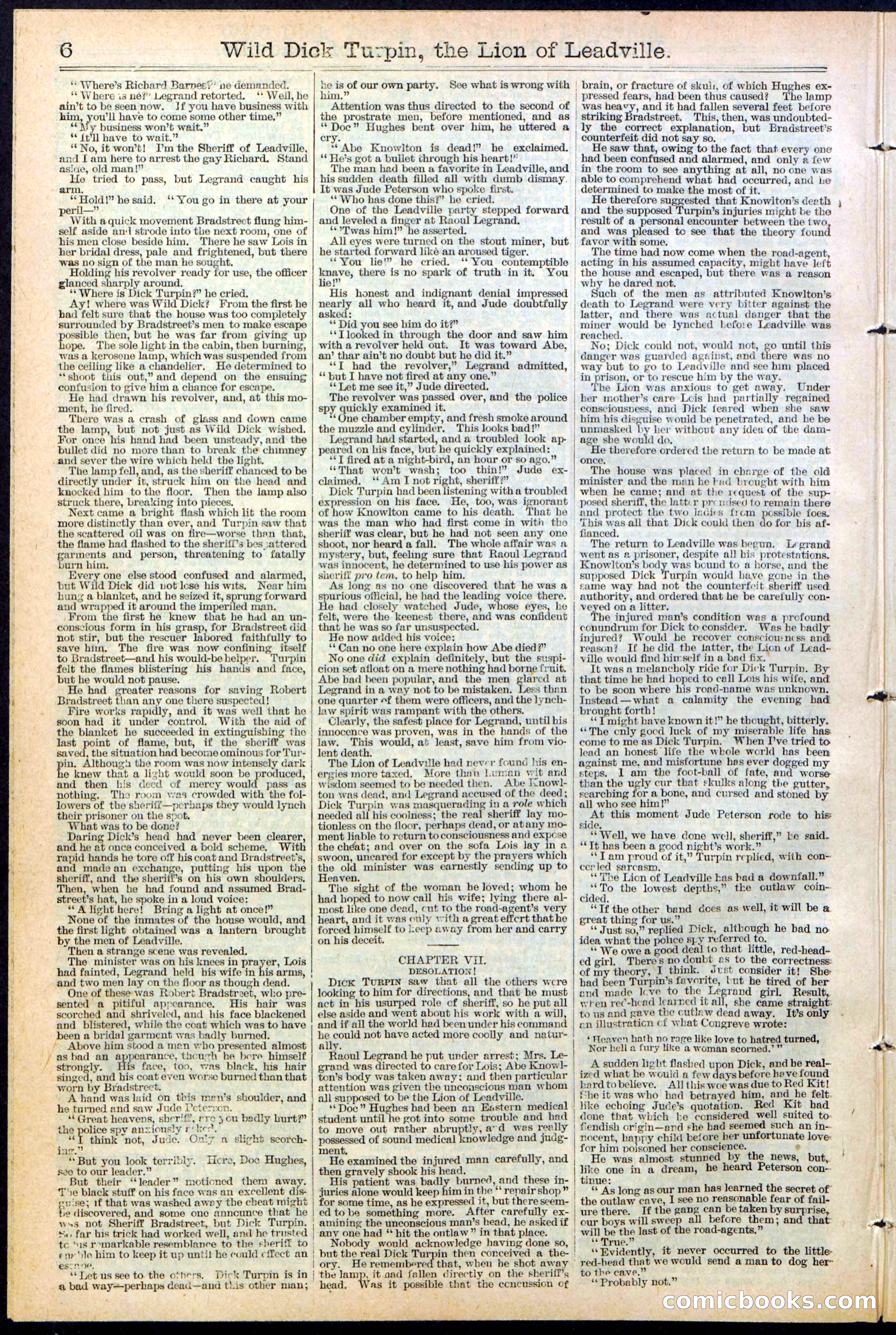 Beadle's New York Dime Library No. 385 — page 6 of 32