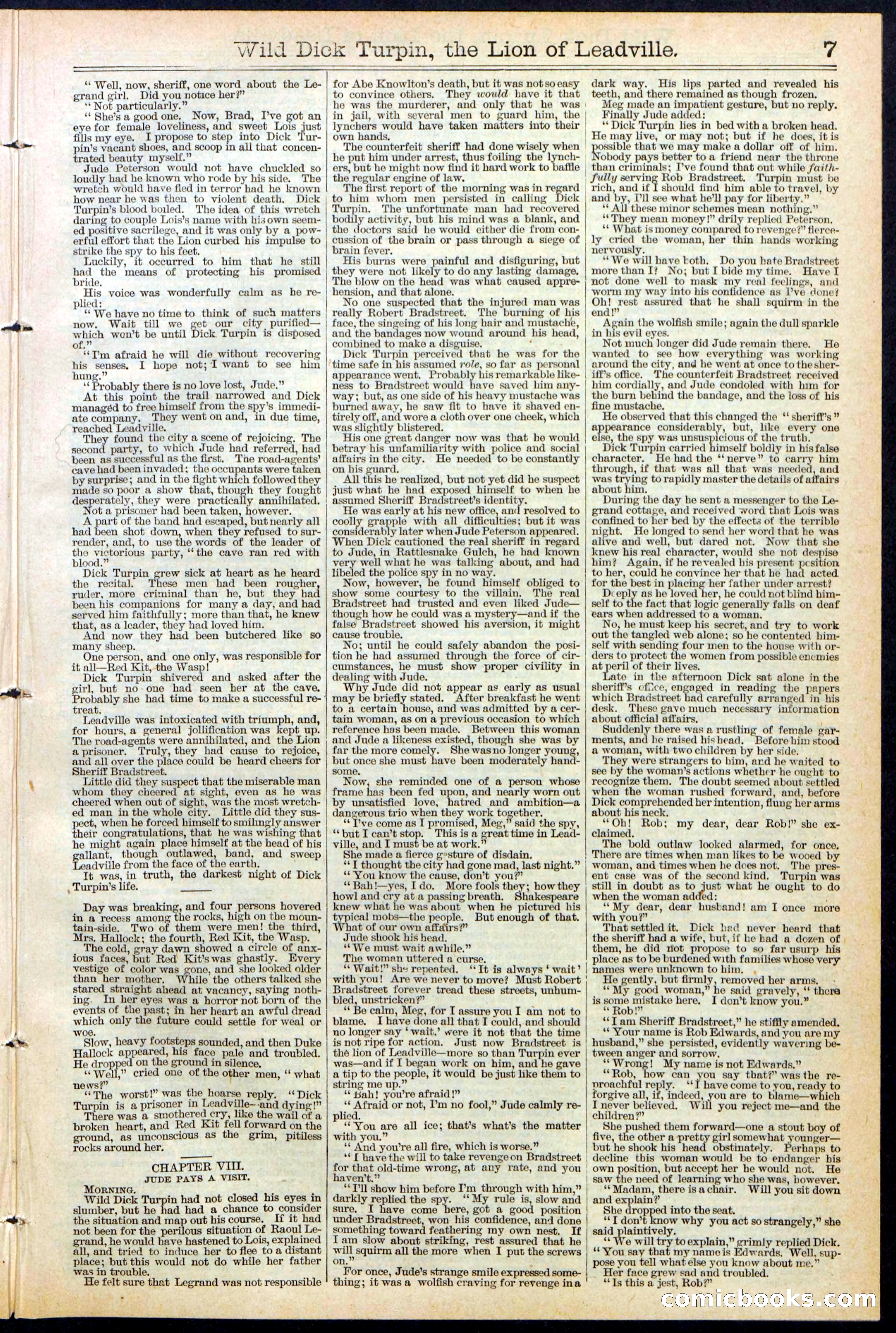 Beadle's New York Dime Library No. 385 — page 7 of 32