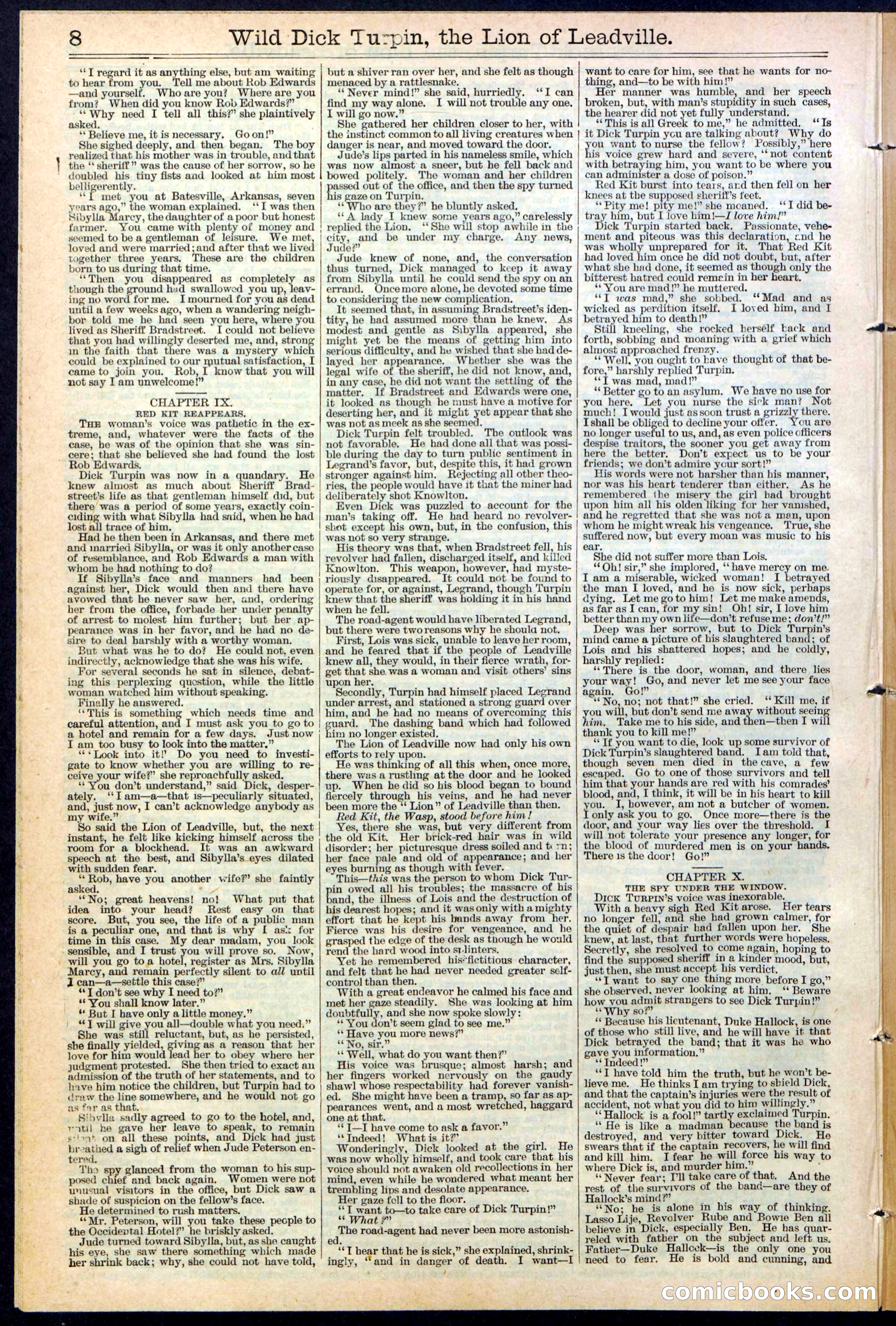 Beadle's New York Dime Library No. 385 — page 8 of 32