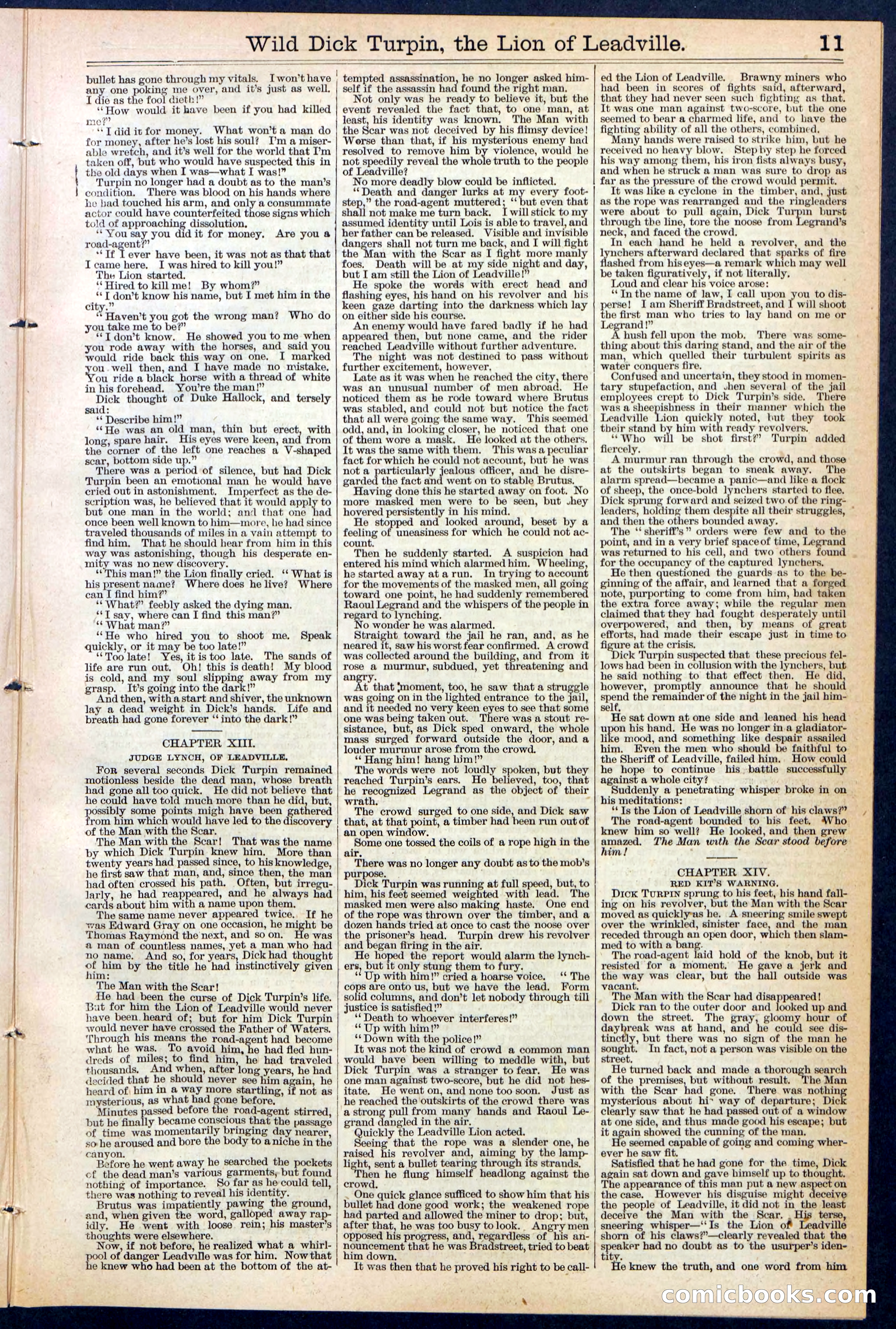 Beadle's New York Dime Library No. 385 — page 11 of 32