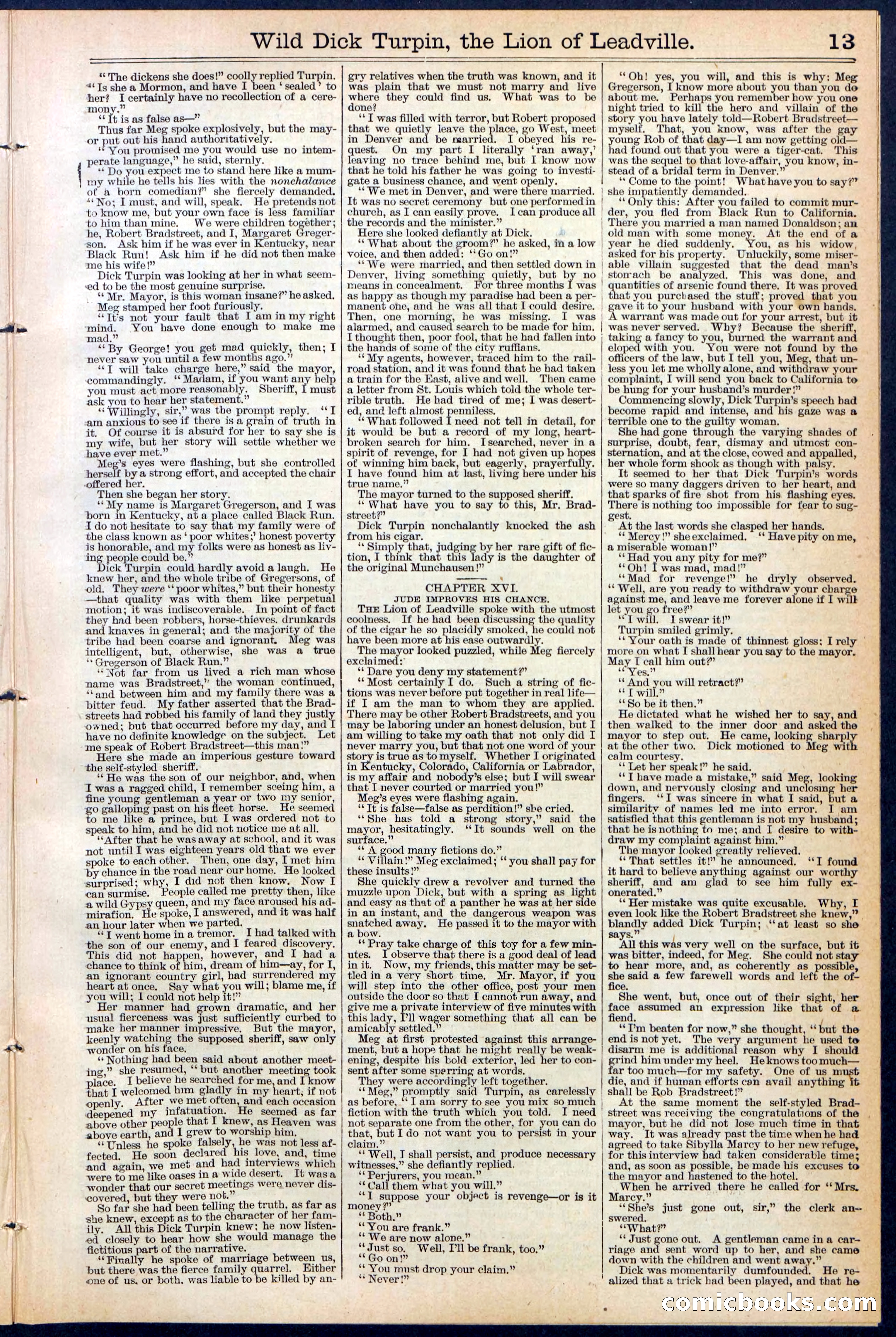 Beadle's New York Dime Library No. 385 — page 13 of 32