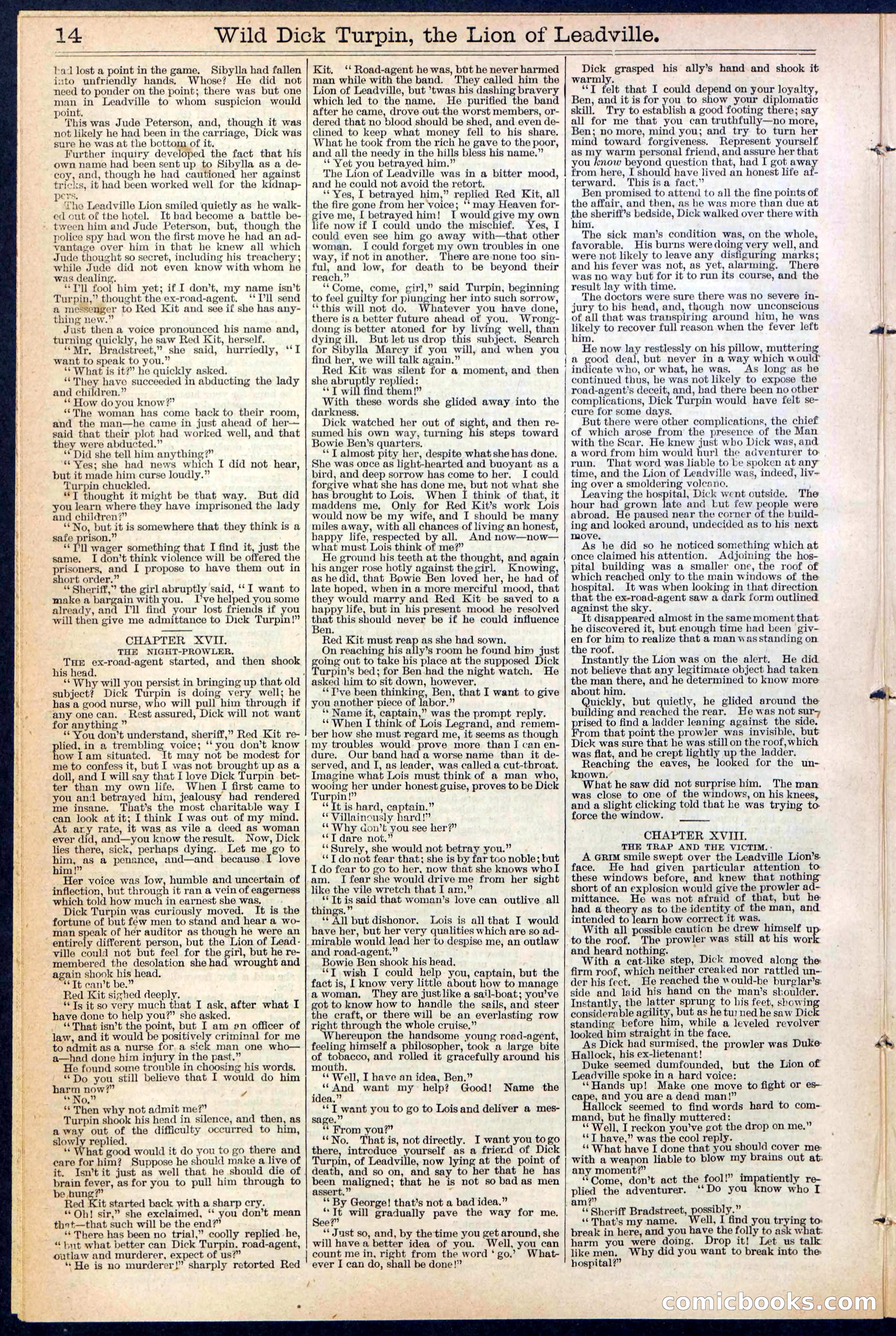 Beadle's New York Dime Library No. 385 — page 14 of 32