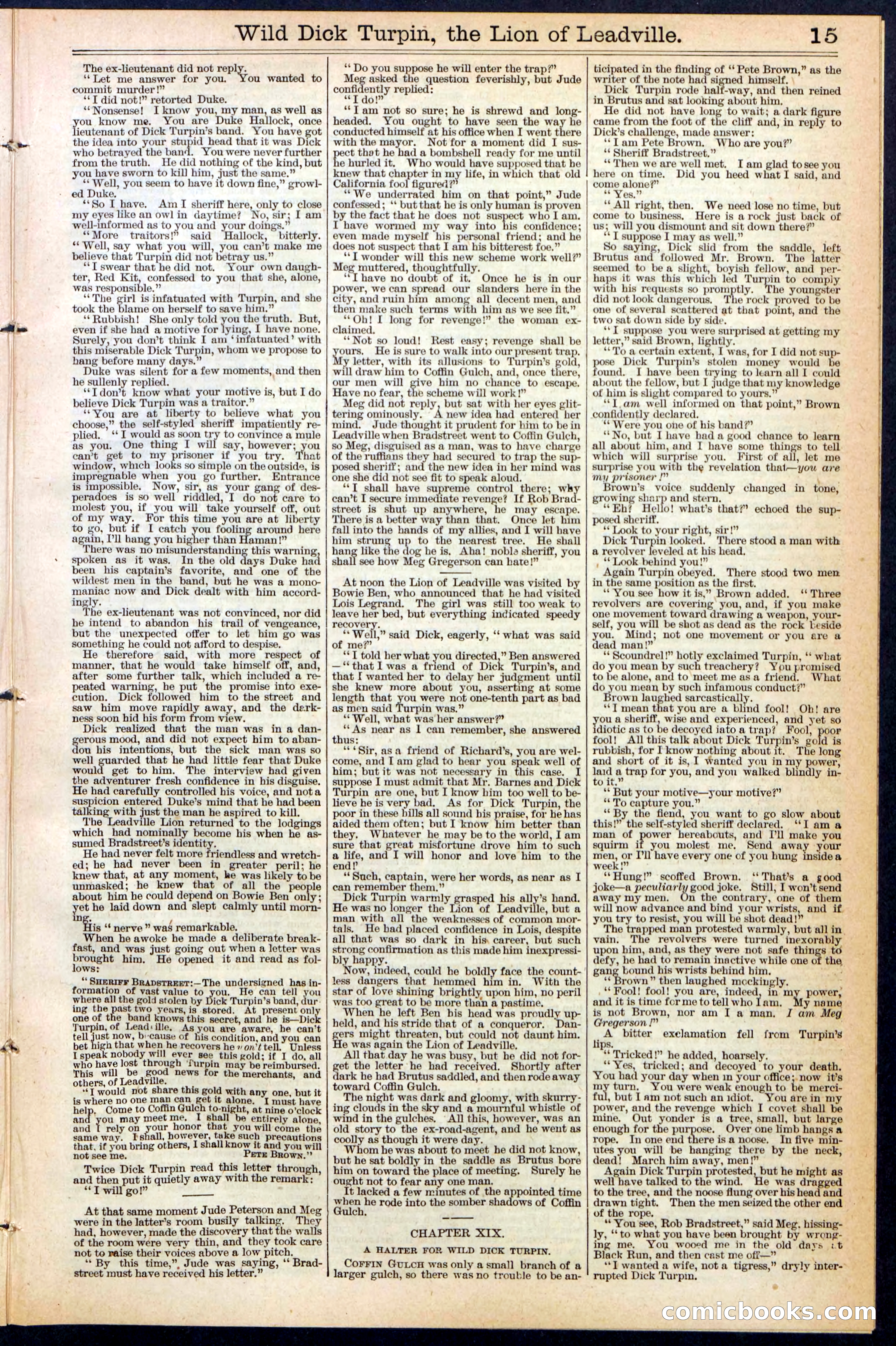 Beadle's New York Dime Library No. 385 — page 15 of 32