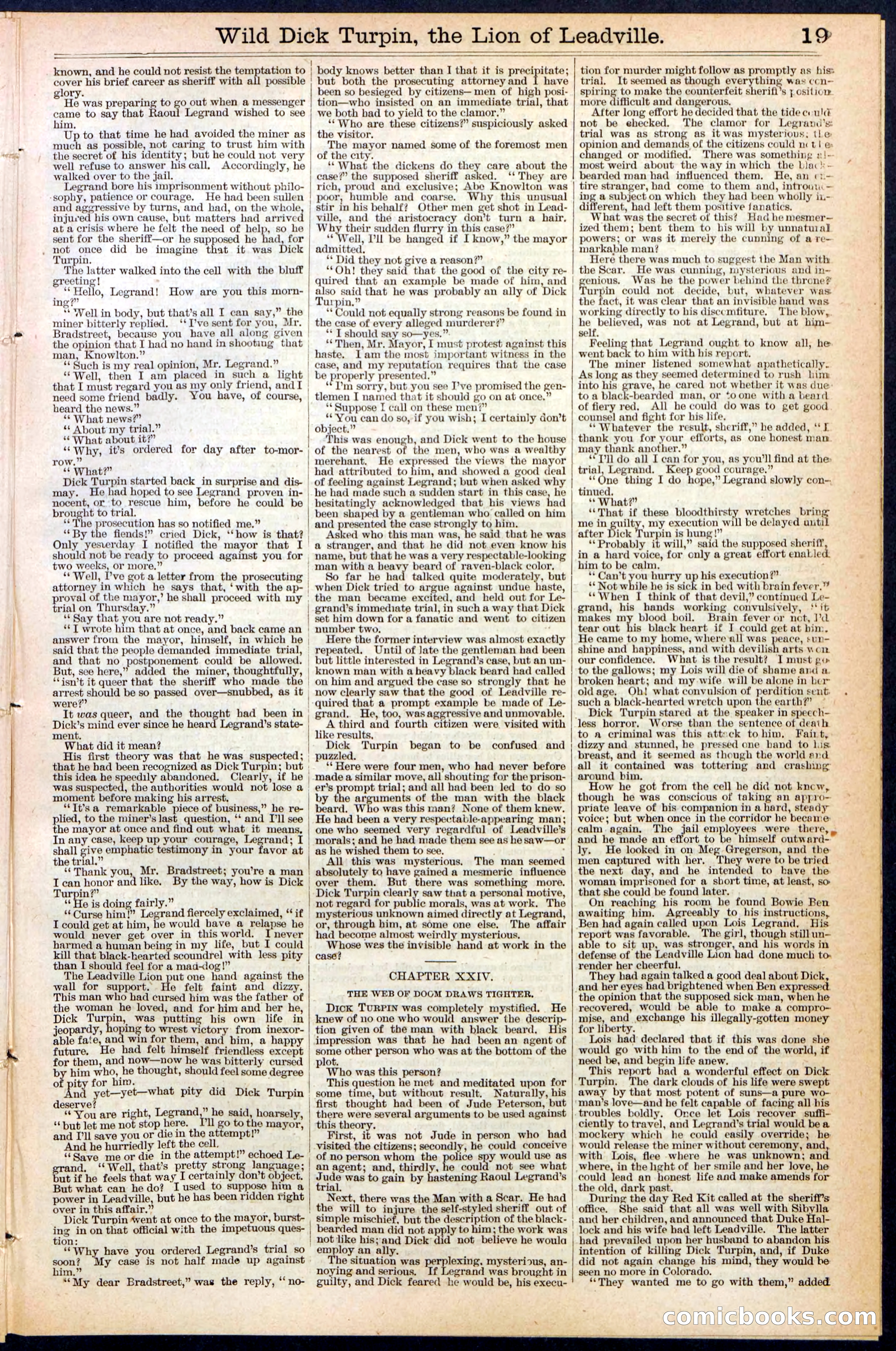 Beadle's New York Dime Library No. 385 — page 19 of 32