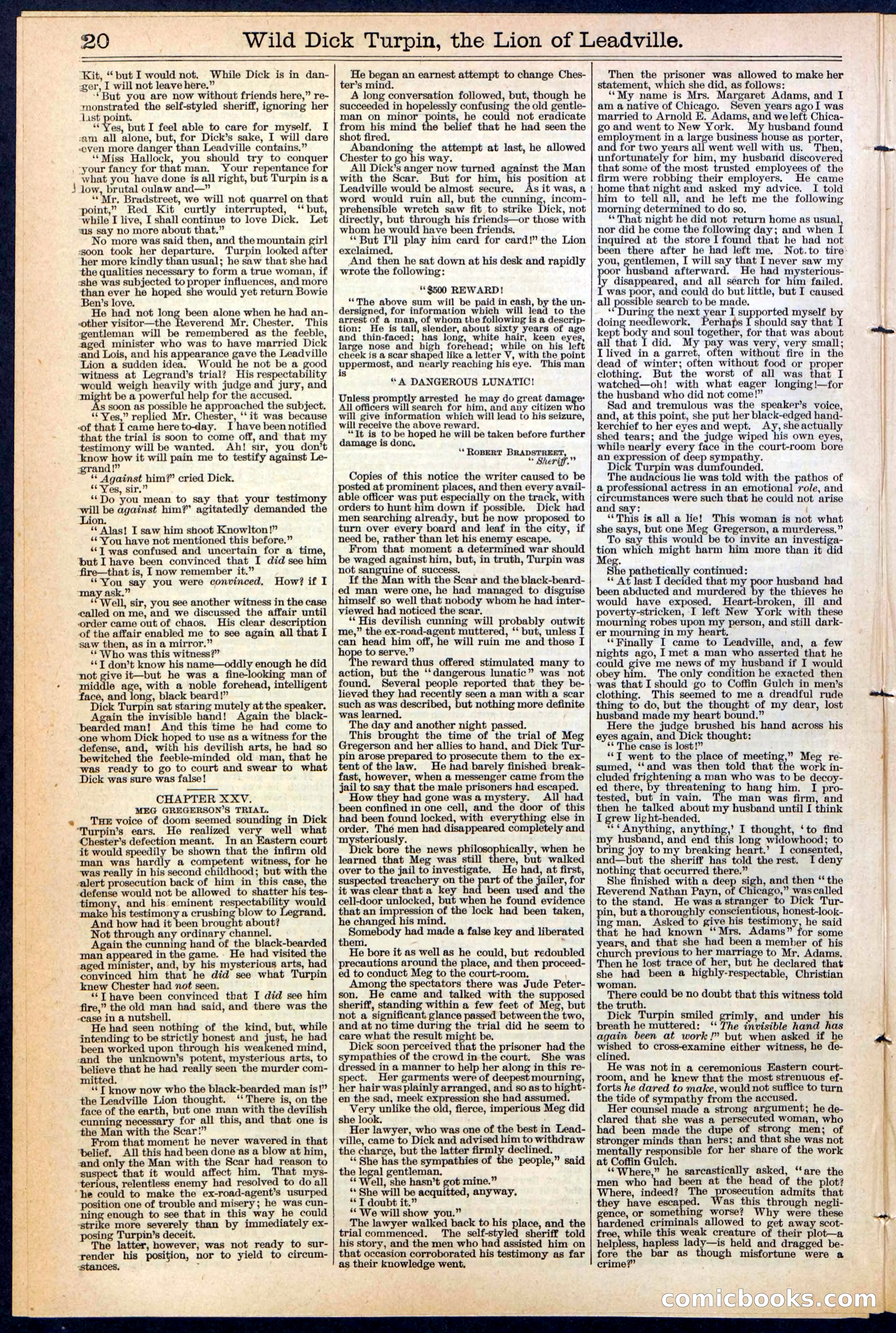 Beadle's New York Dime Library No. 385 — page 20 of 32