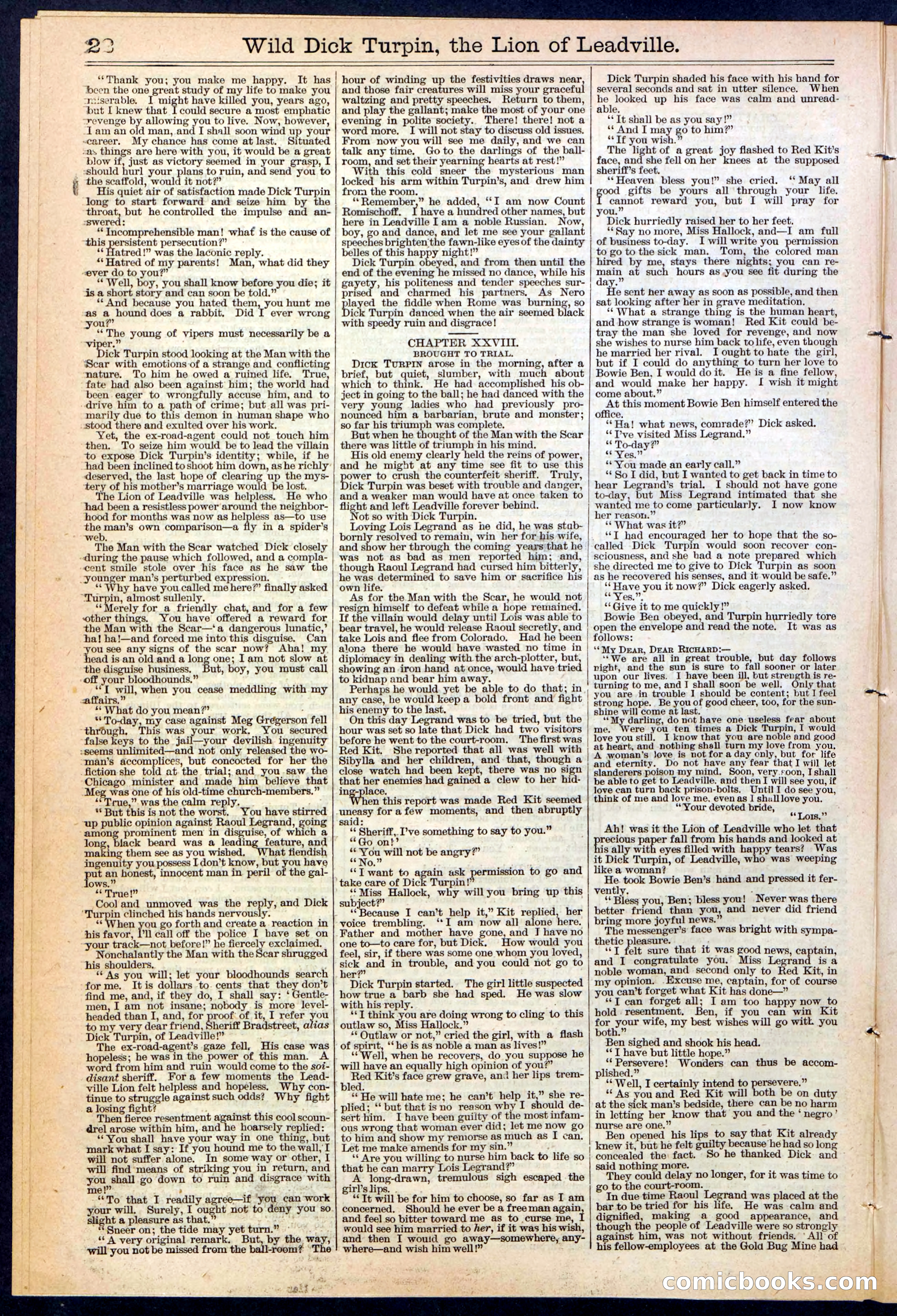 Beadle's New York Dime Library No. 385 — page 22 of 32