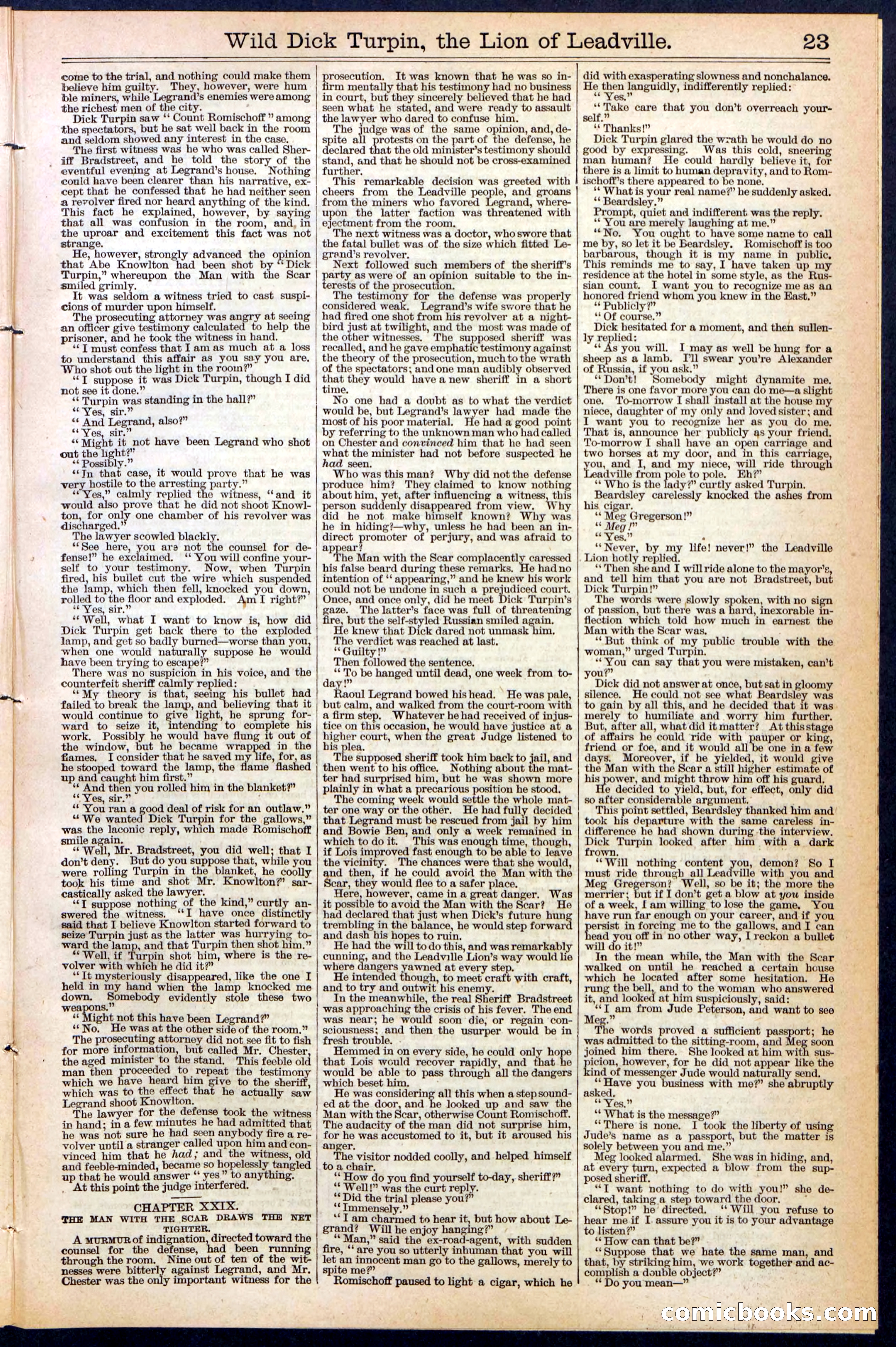 Beadle's New York Dime Library No. 385 — page 23 of 32