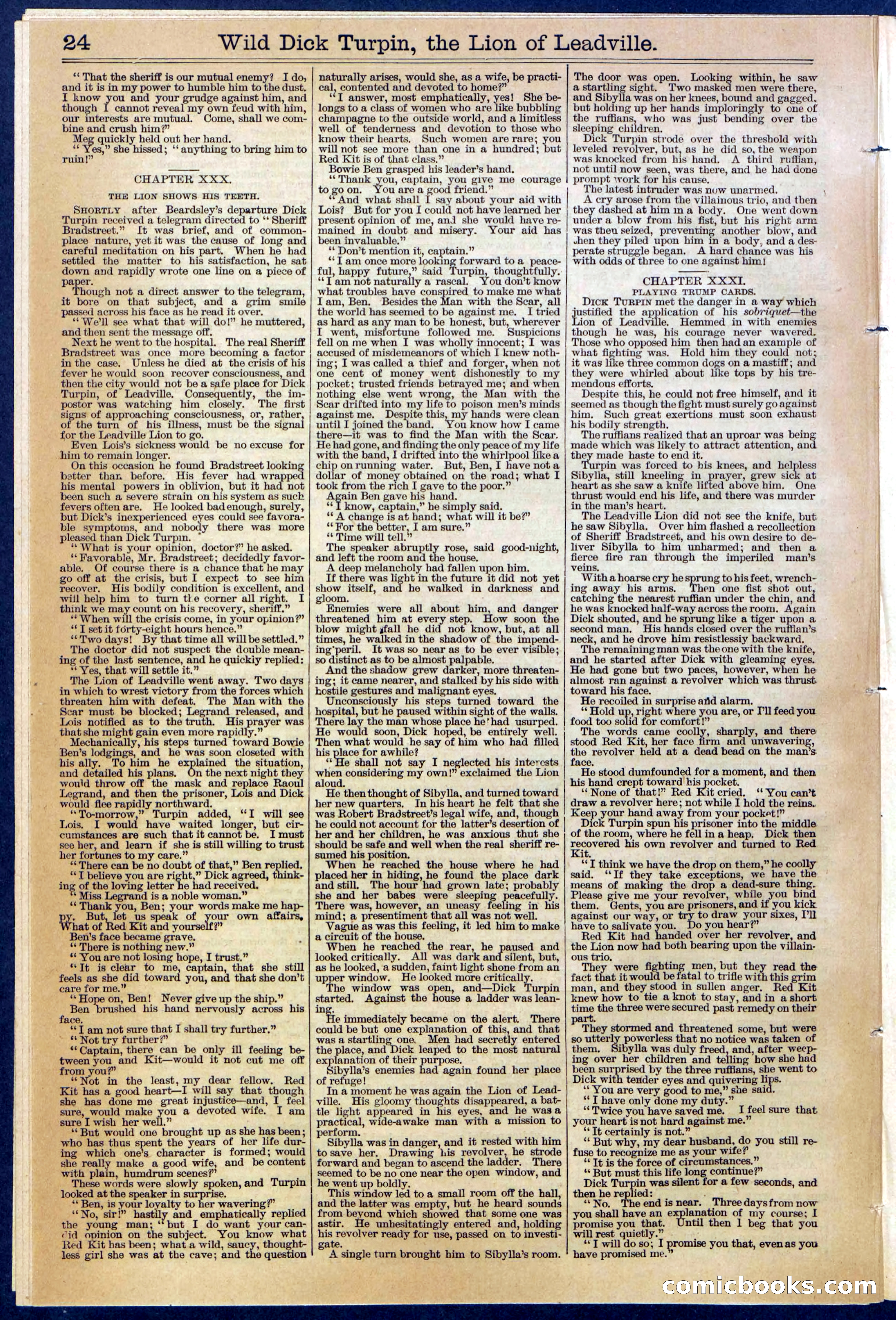 Beadle's New York Dime Library No. 385 — page 24 of 32