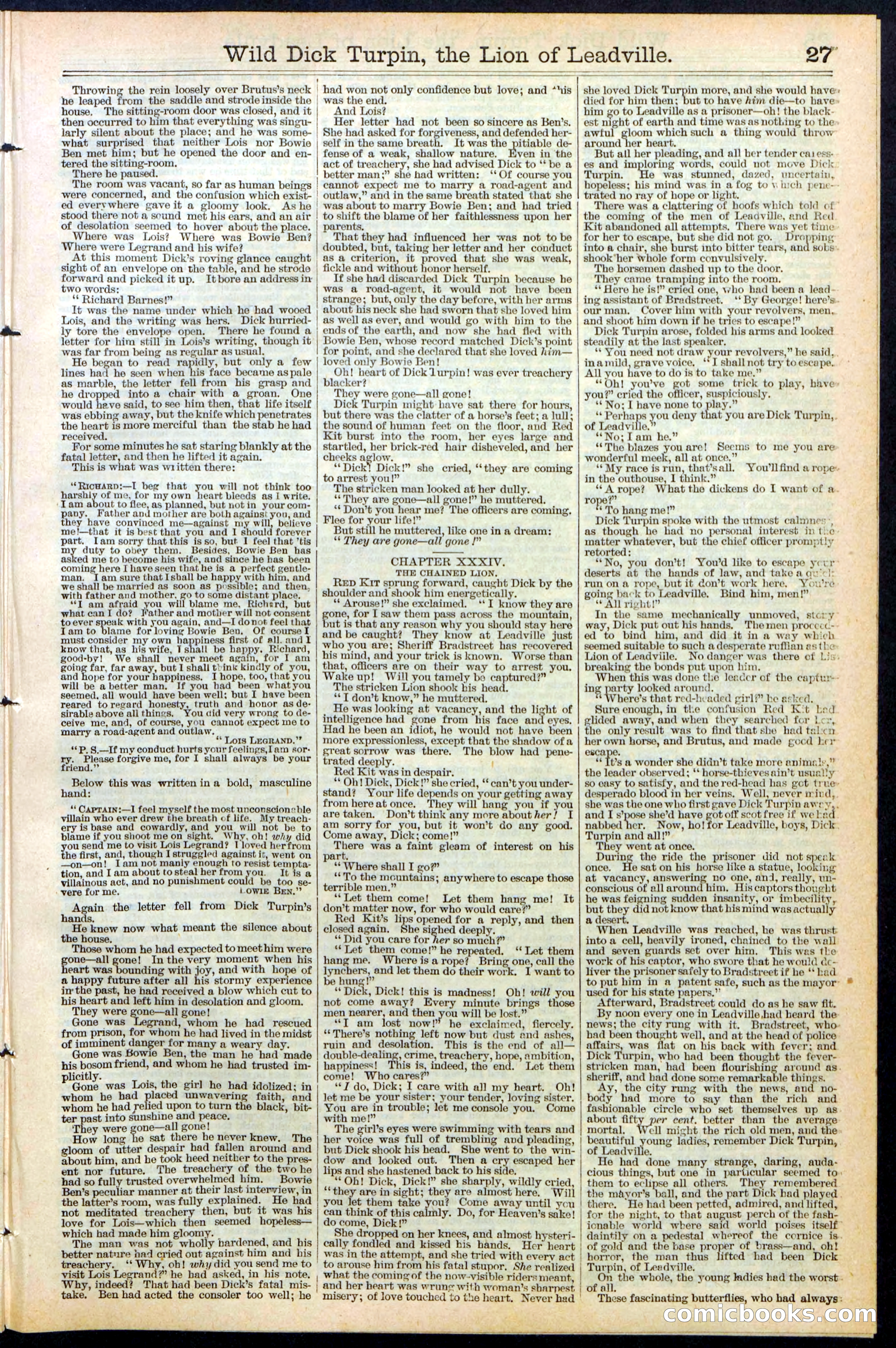 Beadle's New York Dime Library No. 385 — page 27 of 32