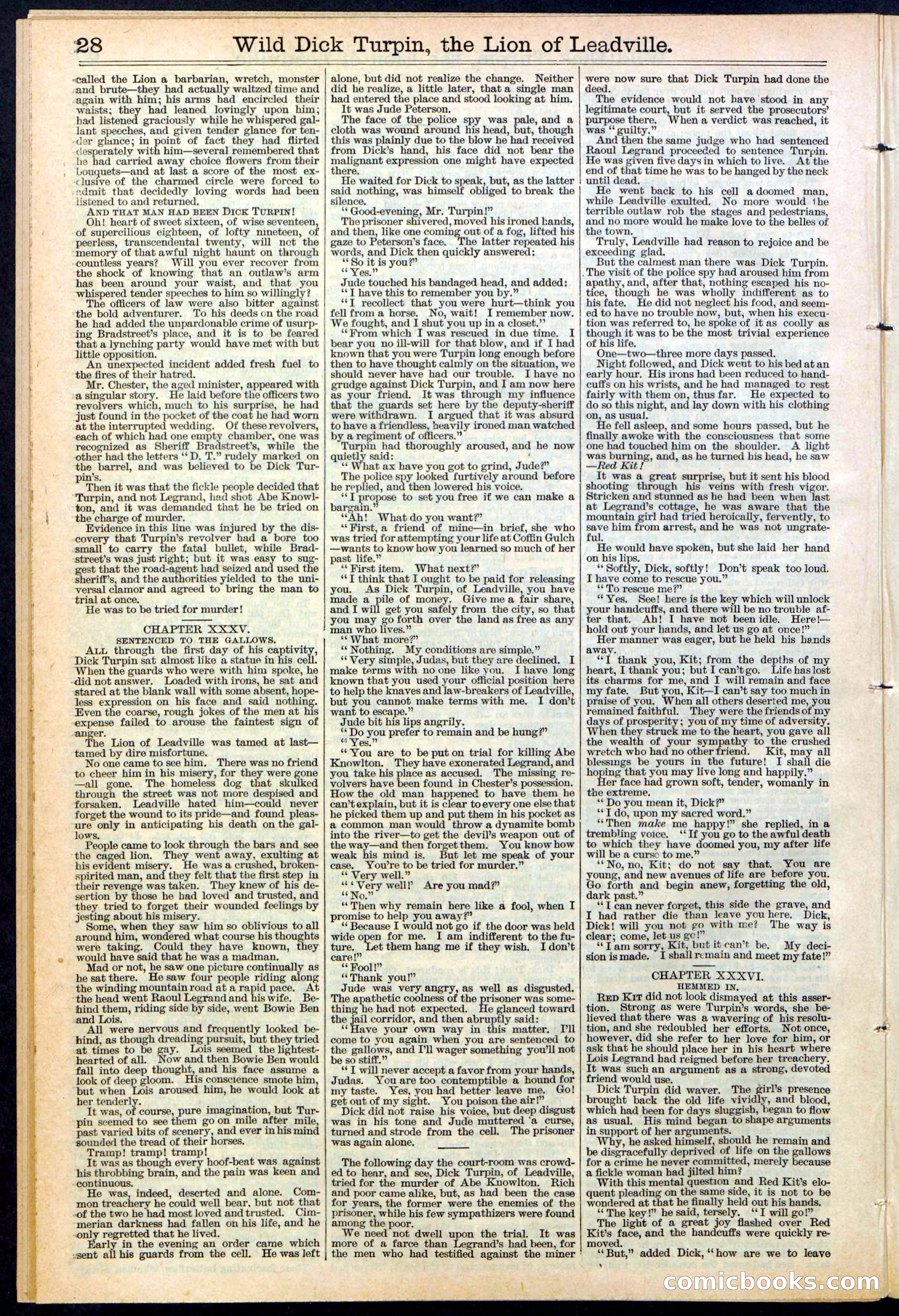 Beadle's New York Dime Library No. 385 — page 28 of 32