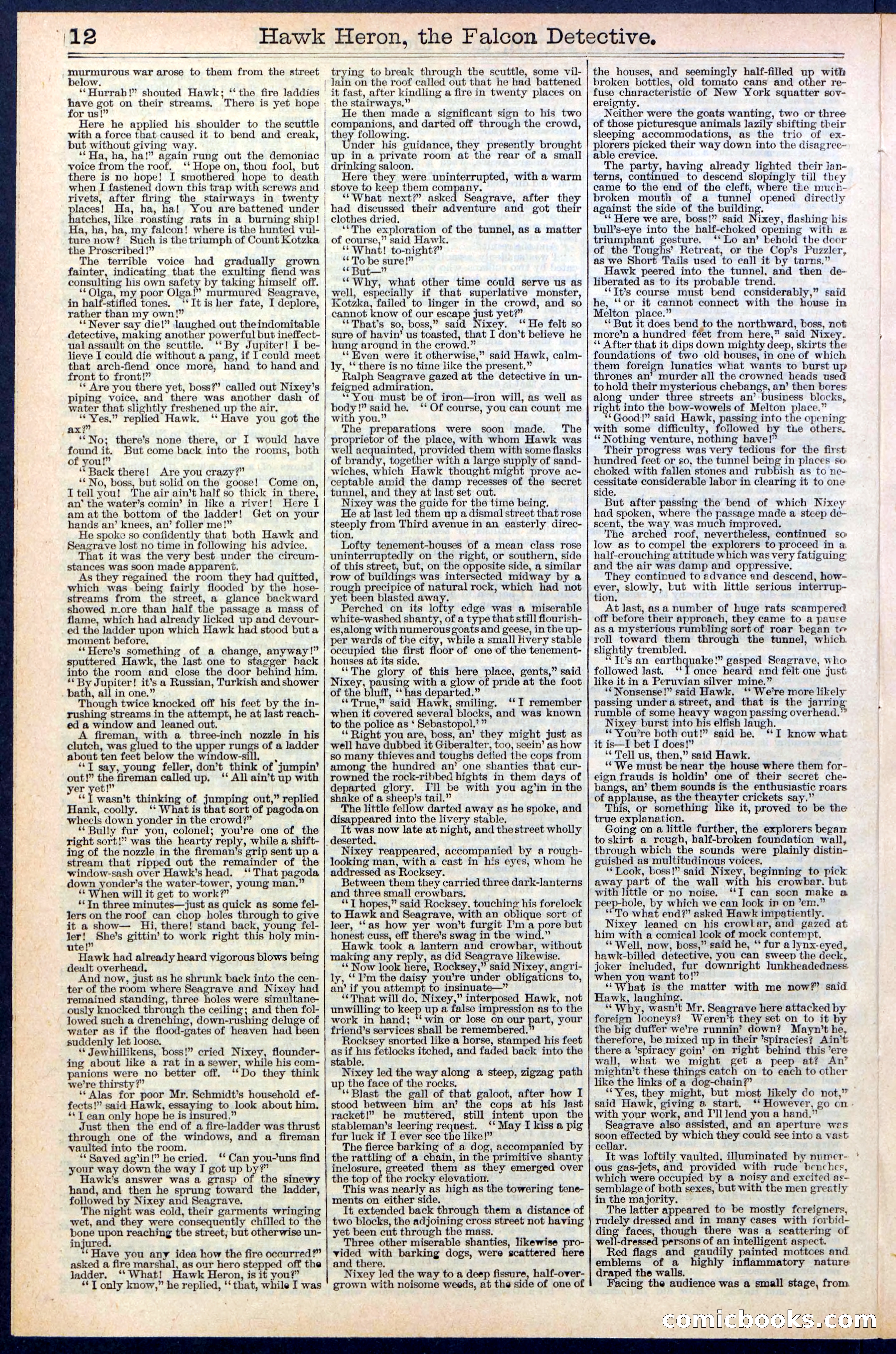 Beadle's Dime Library No. 386 — page 12 of 32