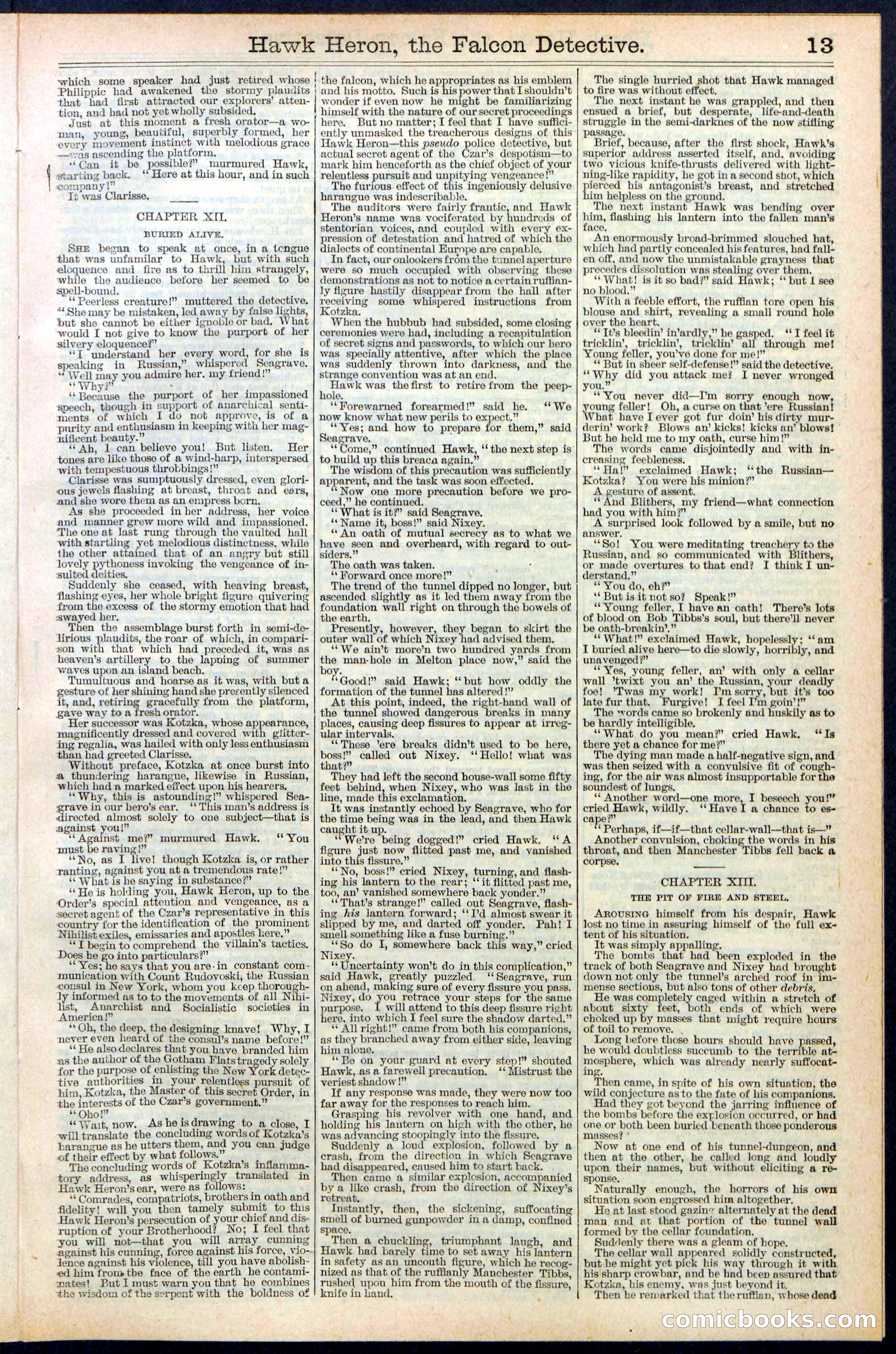 Beadle's Dime Library No. 386 — page 13 of 32