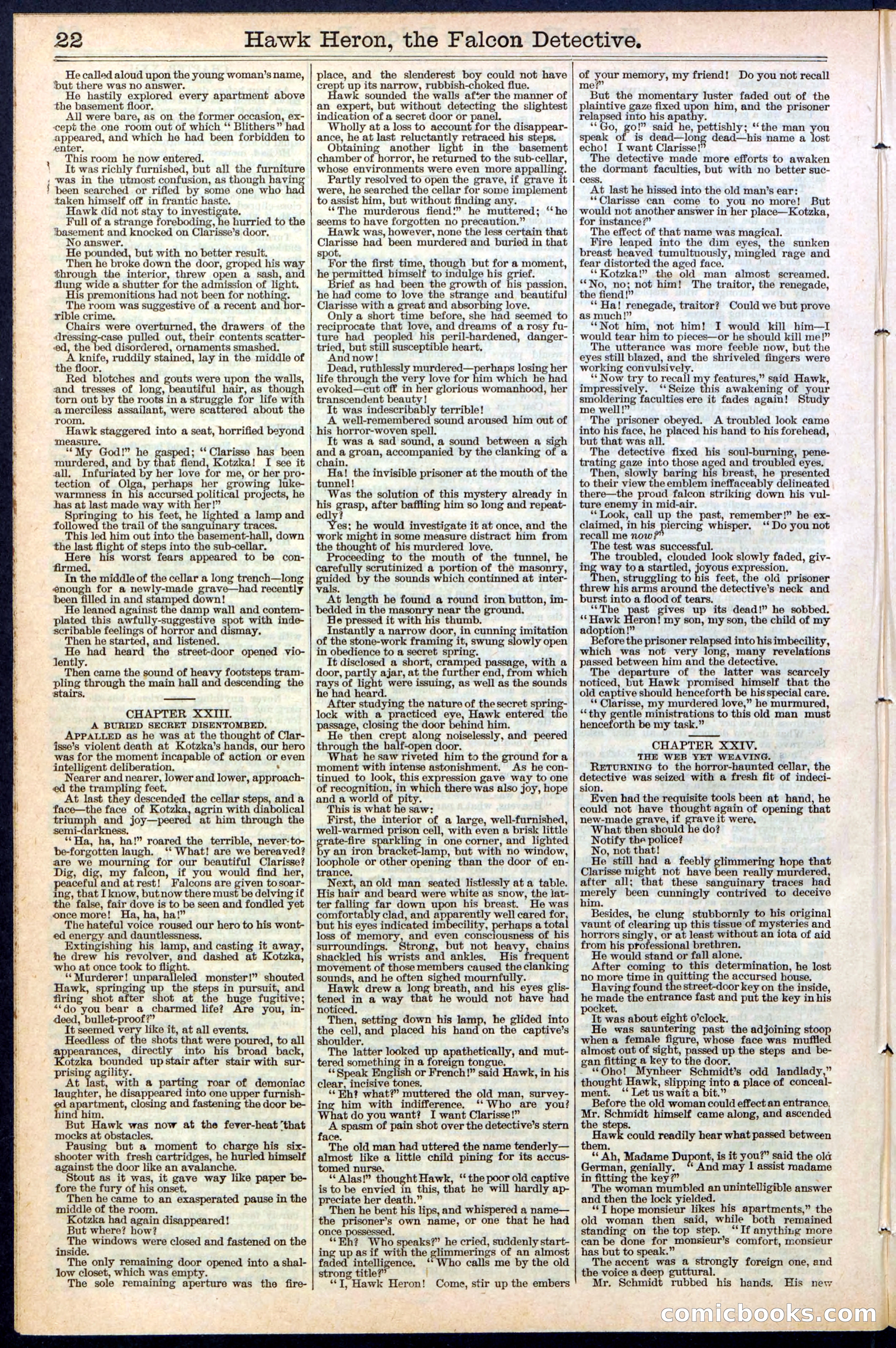 Beadle's Dime Library No. 386 — page 22 of 32