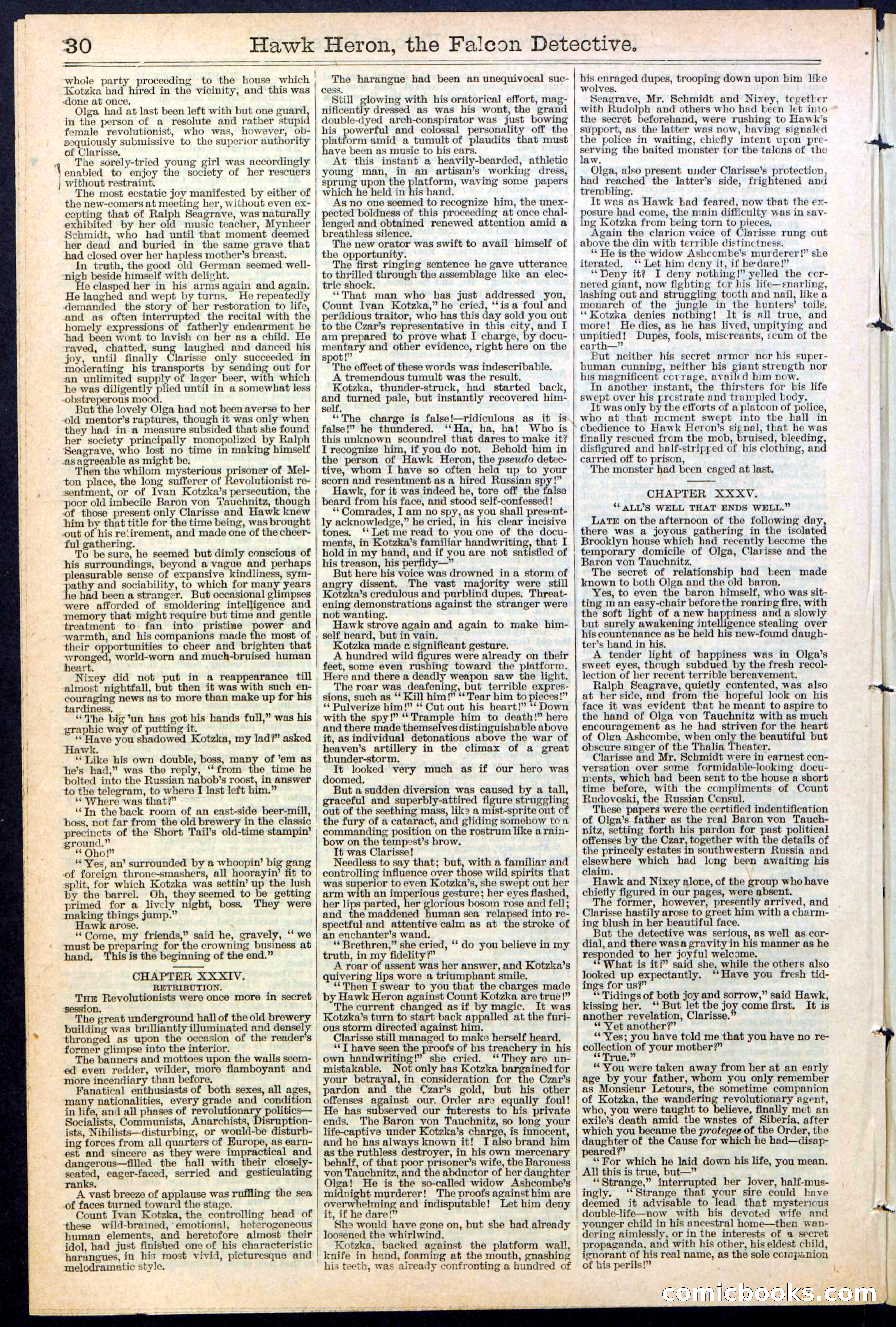Beadle's Dime Library No. 386 — page 30 of 32