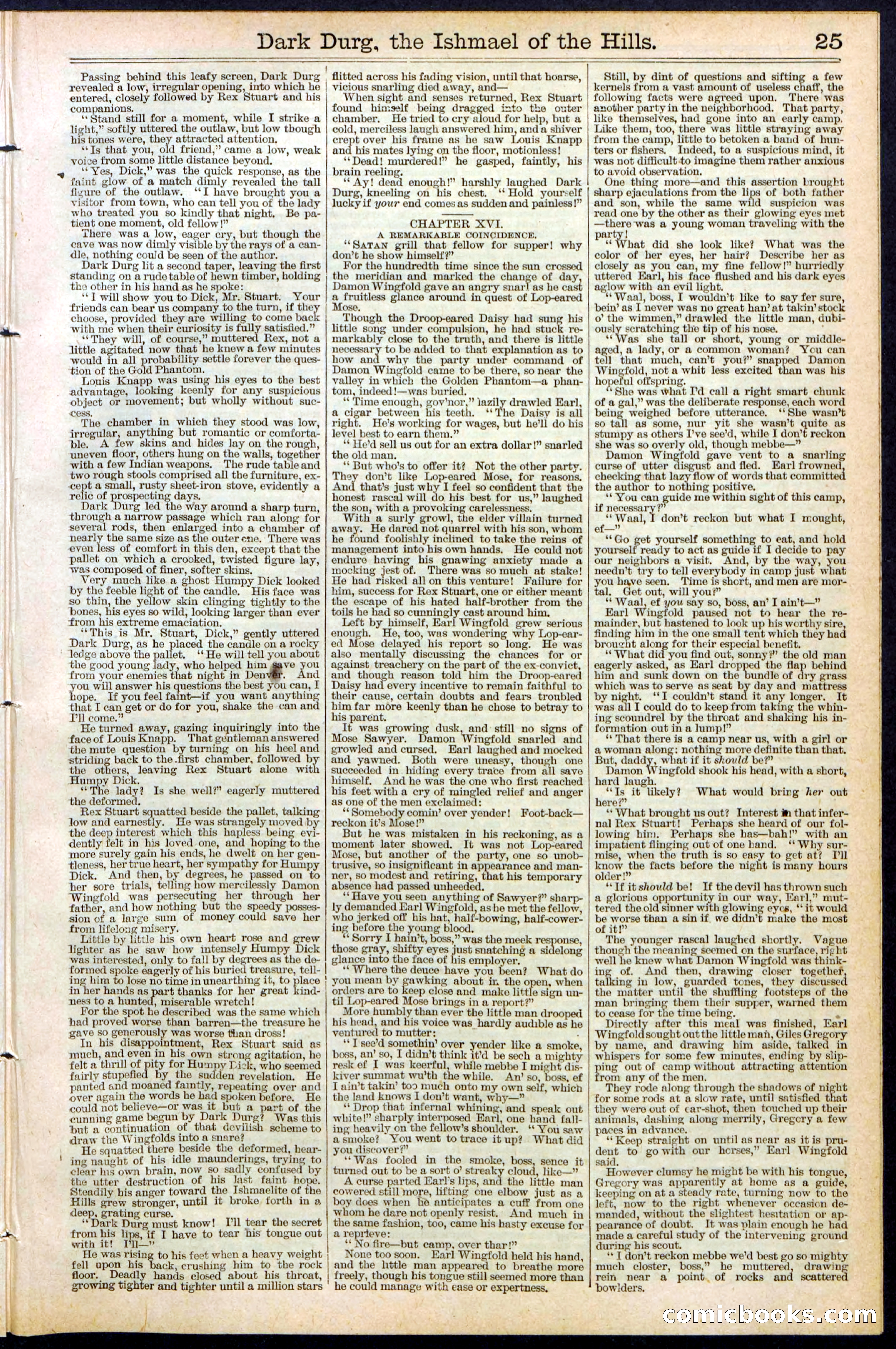 Beadle's Dime Library No. 387 — page 25 of 32