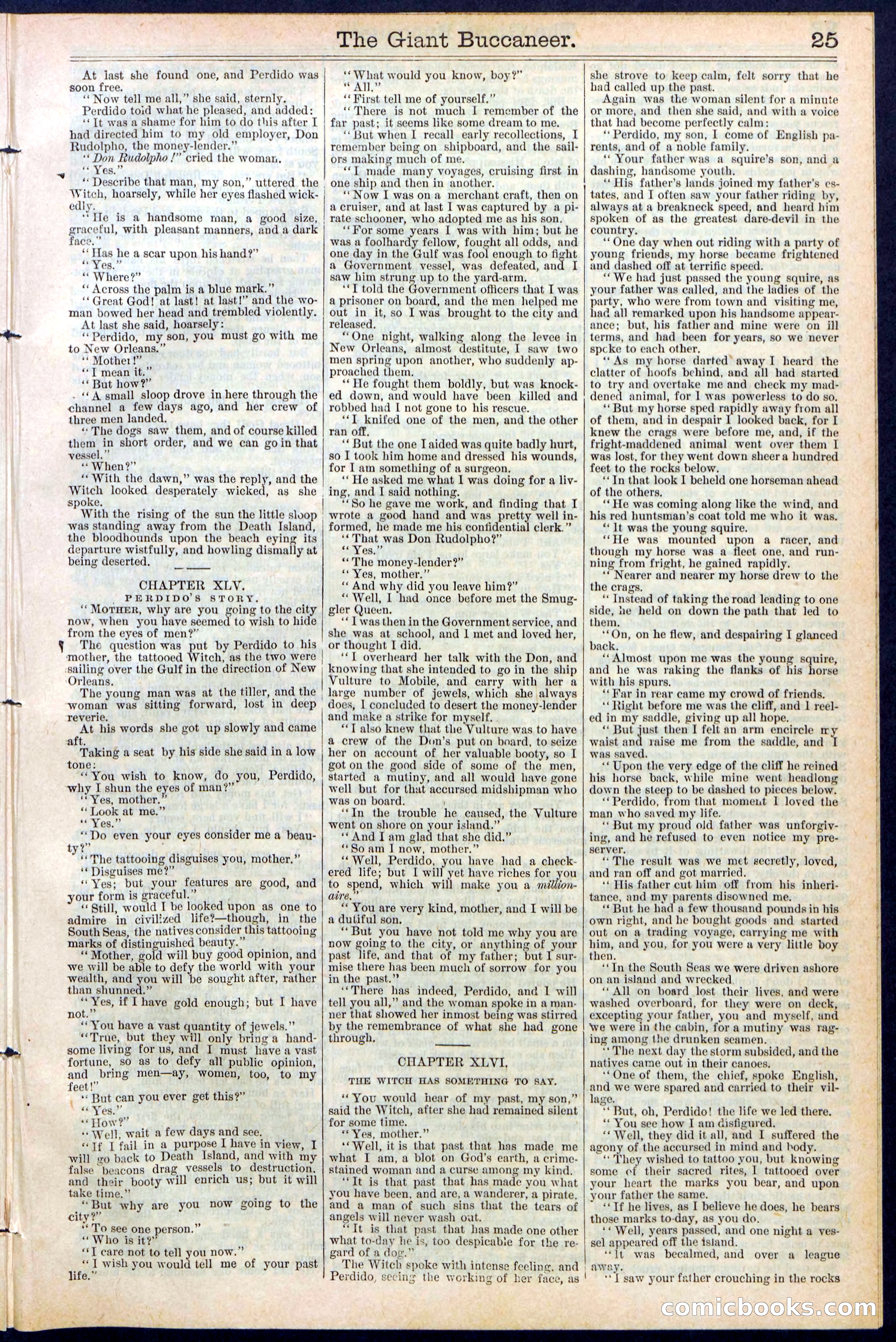 Beadle's Dime Library No. 388: The Giant Buccaneer — page 25 of 32