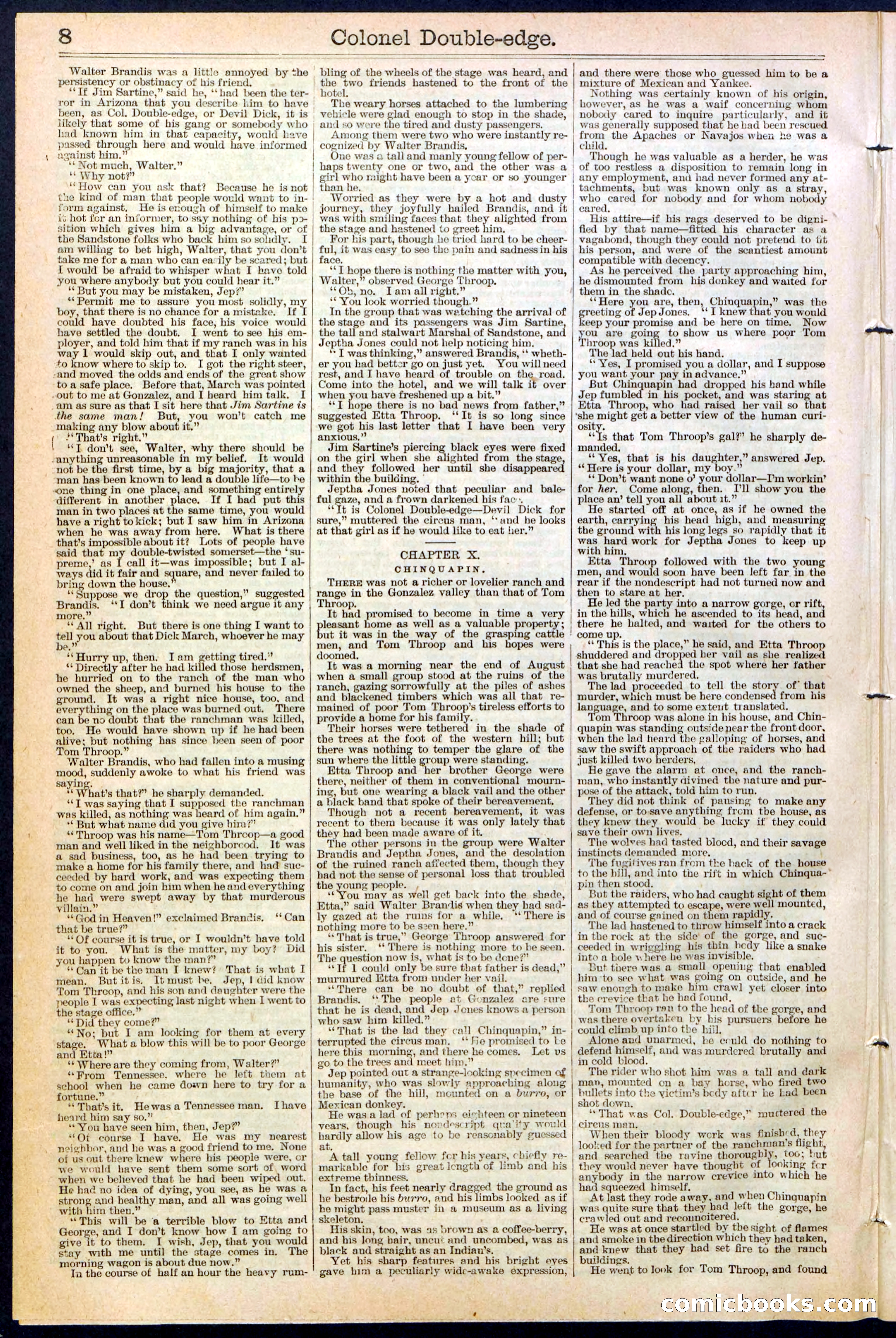Beadle's New York Dime Library No. 389 — page 8 of 32