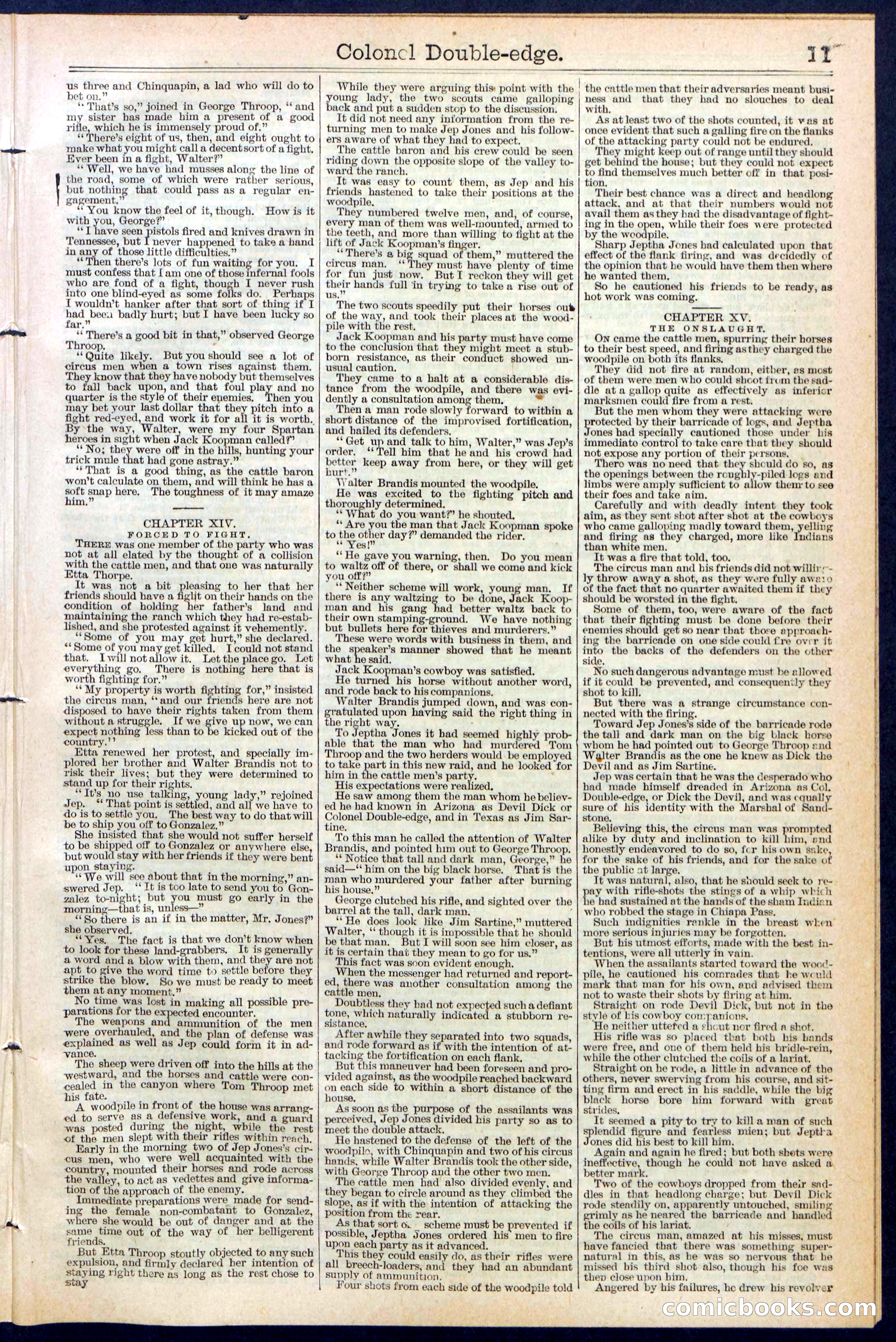Beadle's New York Dime Library No. 389 — page 11 of 32