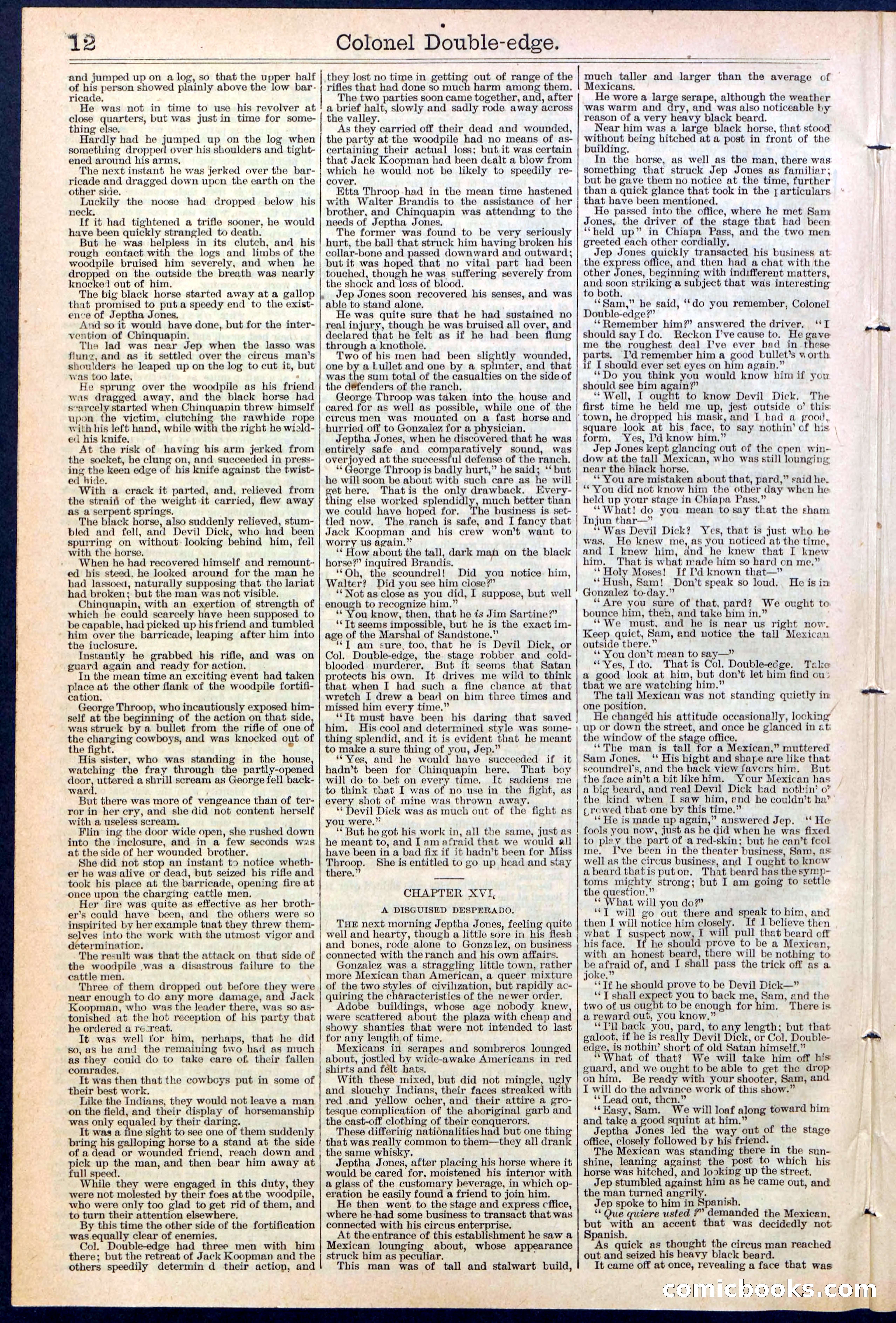 Beadle's New York Dime Library No. 389 — page 12 of 32