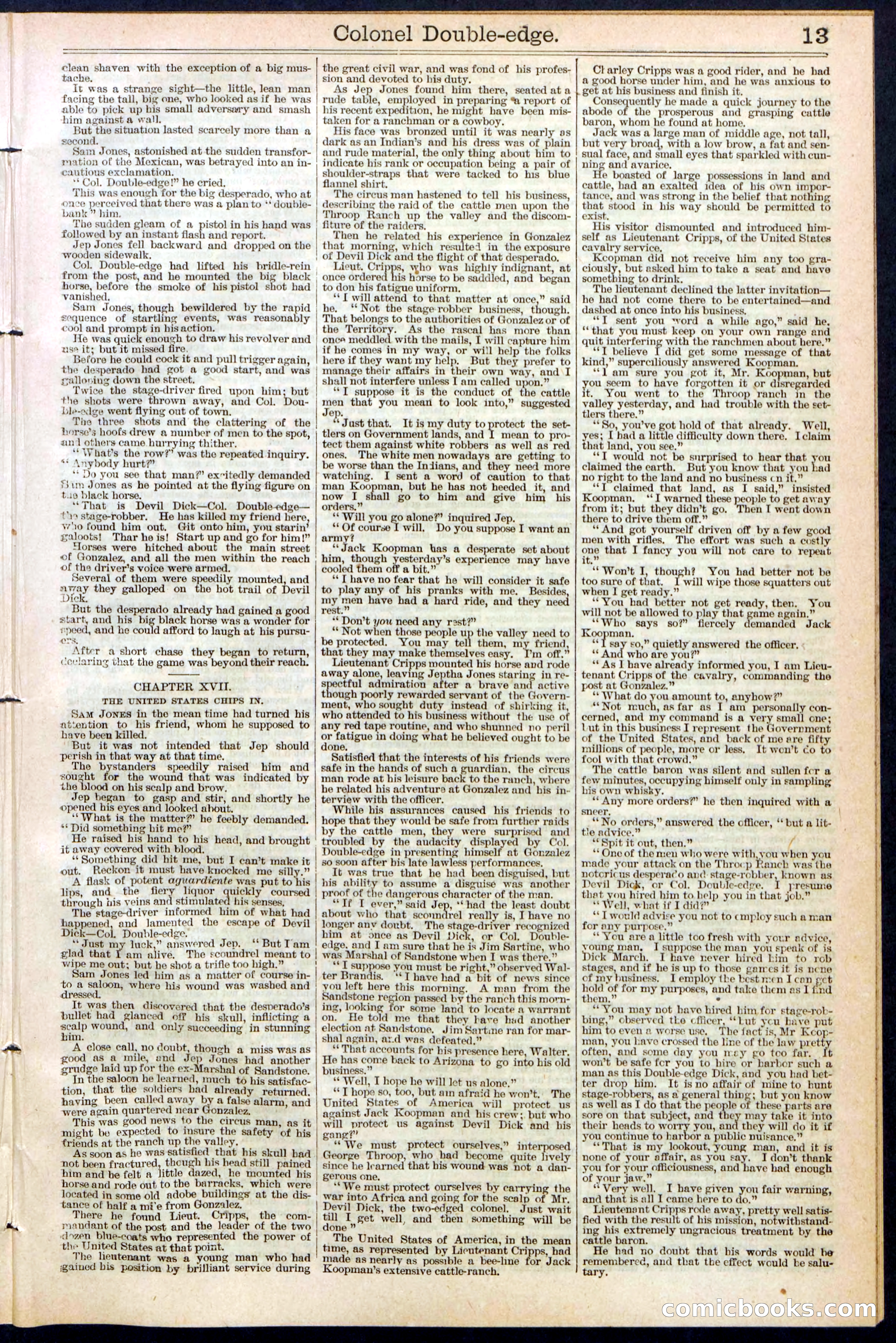 Beadle's New York Dime Library No. 389 — page 13 of 32