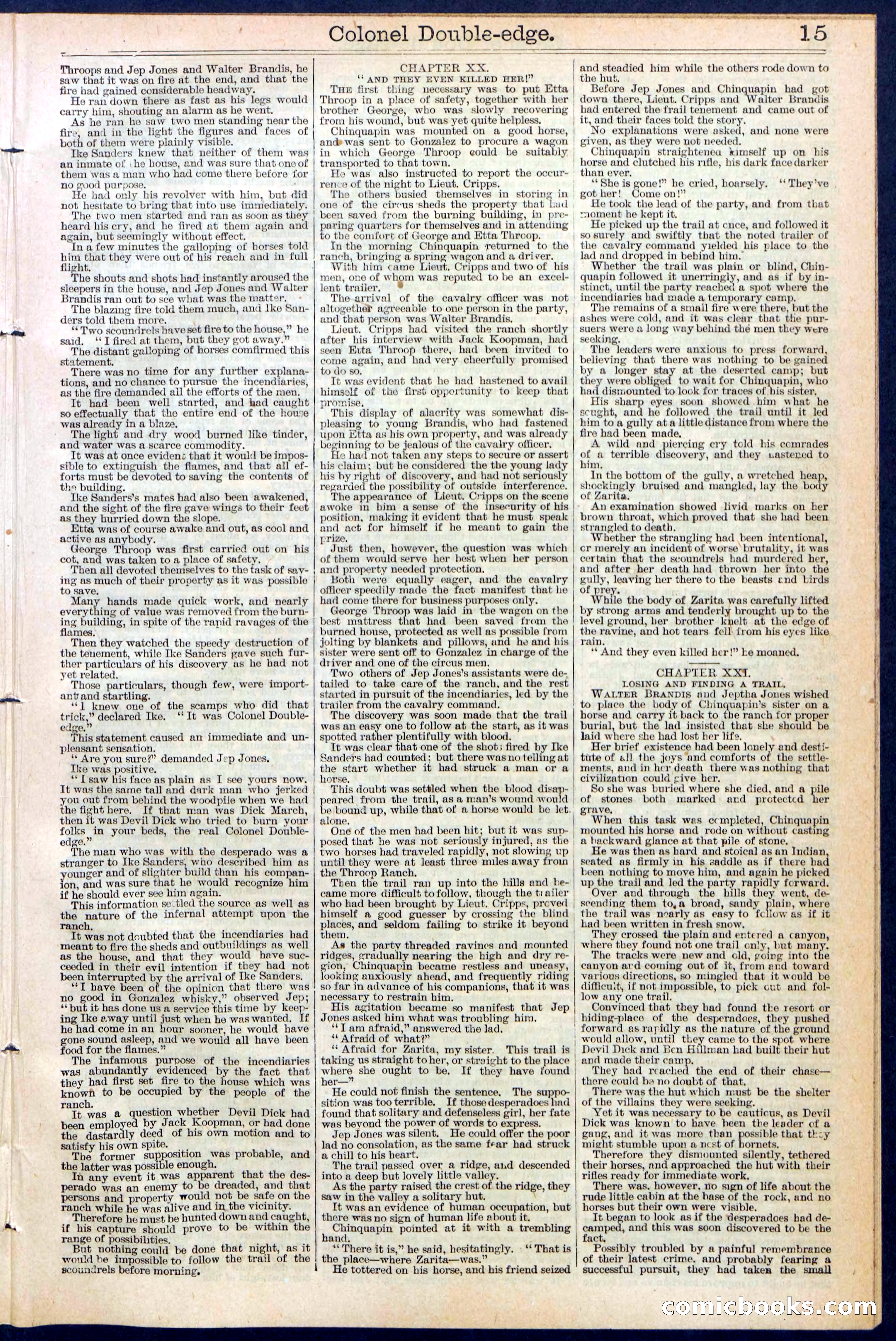 Beadle's New York Dime Library No. 389 — page 15 of 32