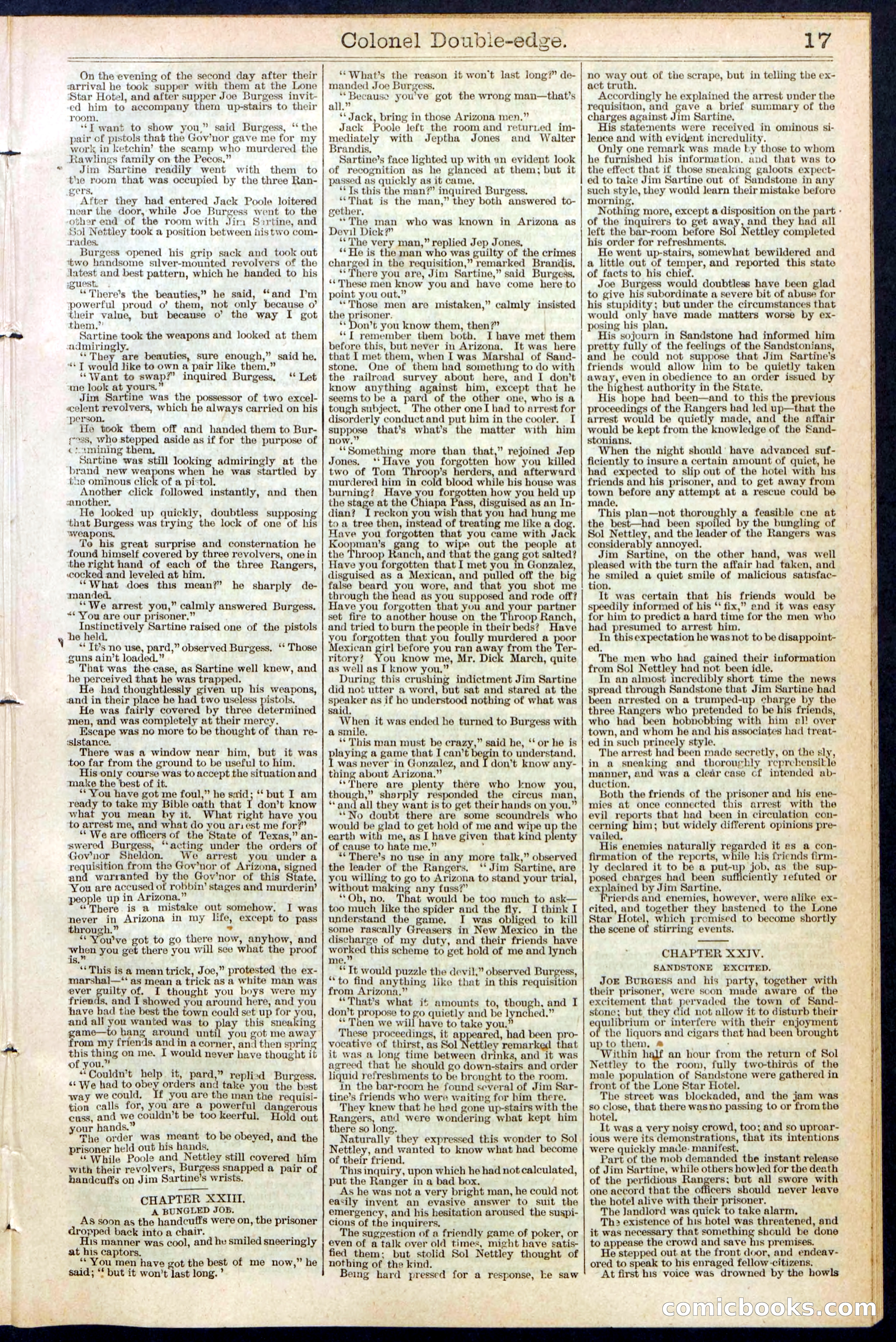 Beadle's New York Dime Library No. 389 — page 17 of 32