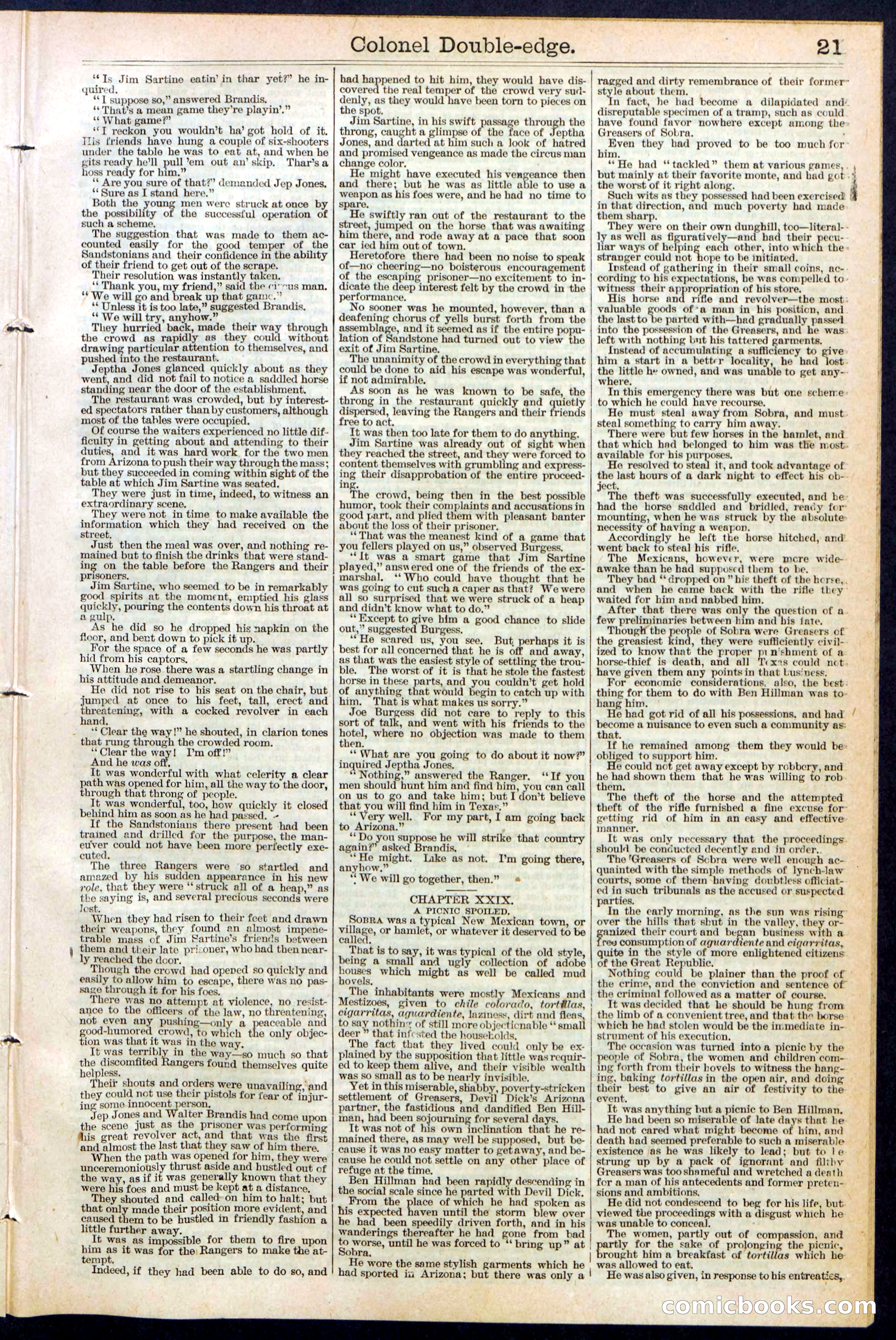 Beadle's New York Dime Library No. 389 — page 21 of 32