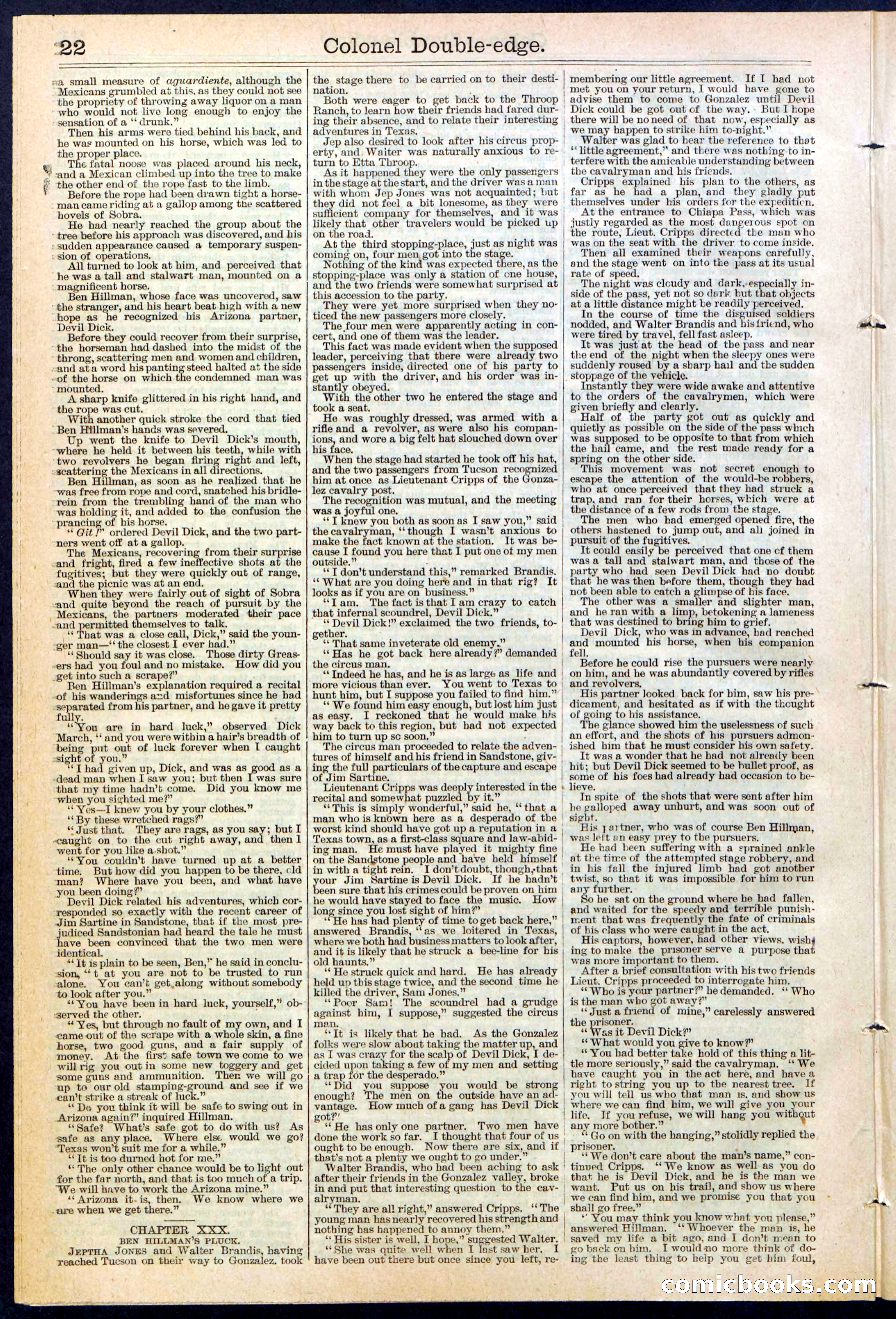 Beadle's New York Dime Library No. 389 — page 22 of 32
