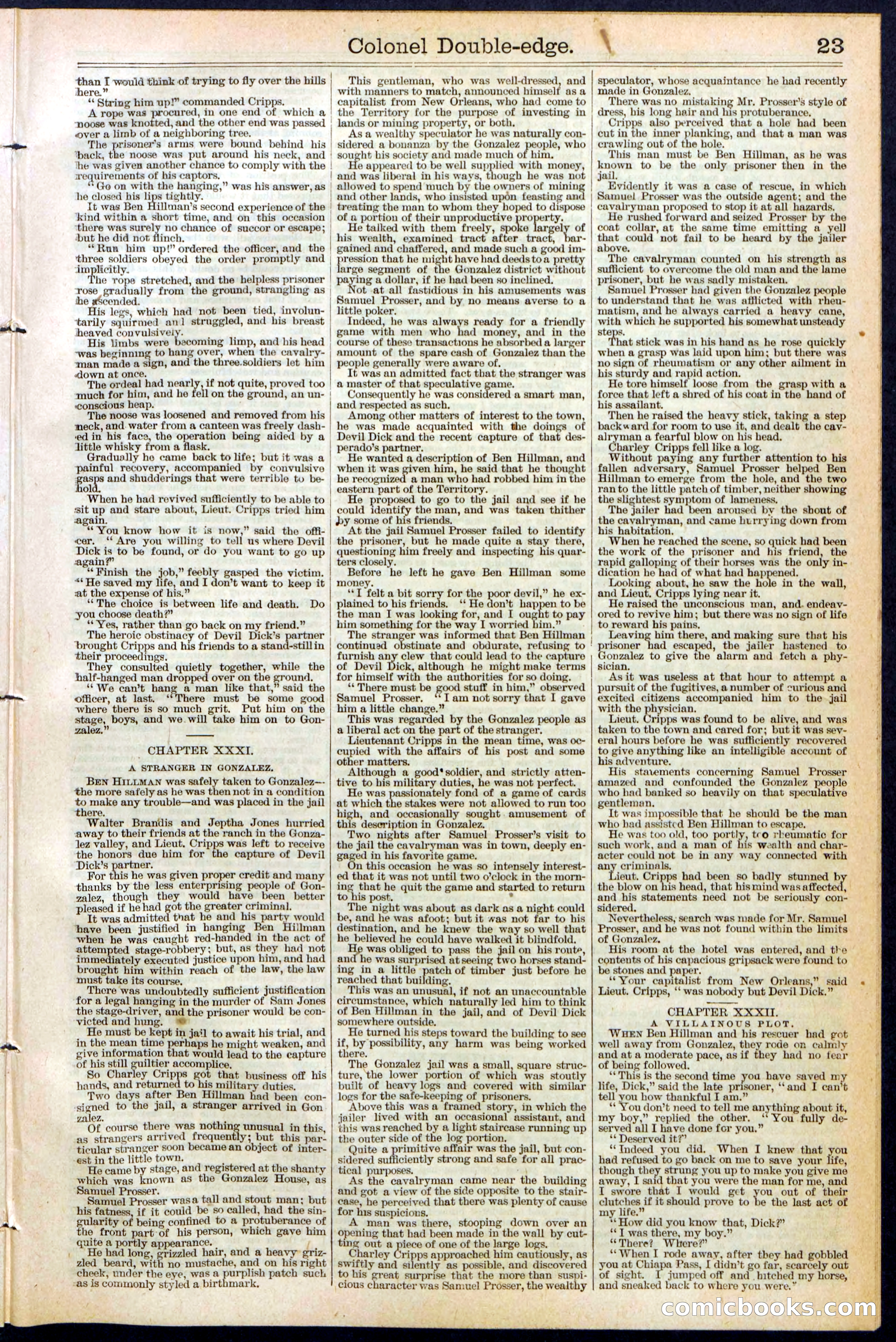 Beadle's New York Dime Library No. 389 — page 23 of 32