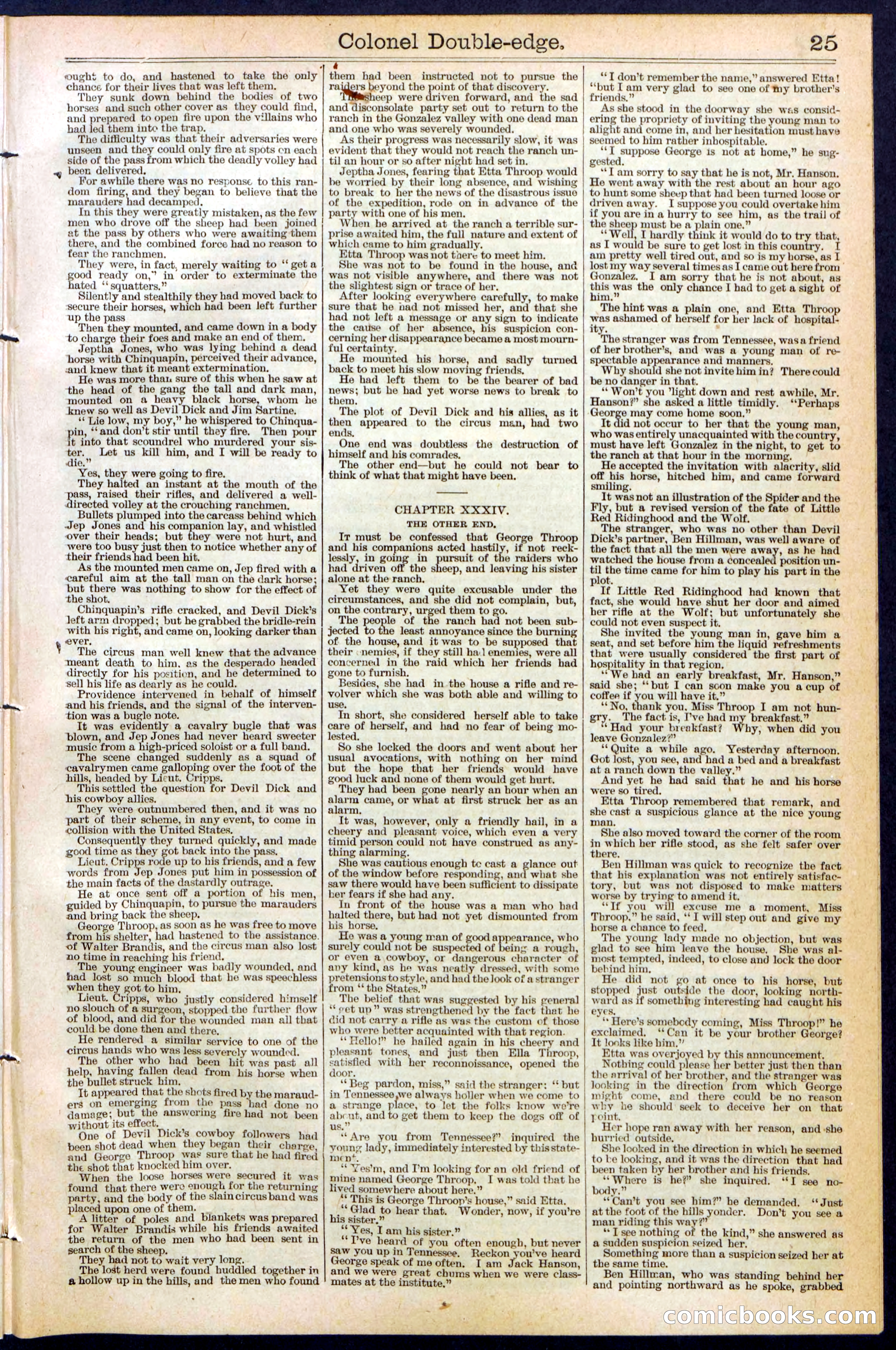 Beadle's New York Dime Library No. 389 — page 25 of 32