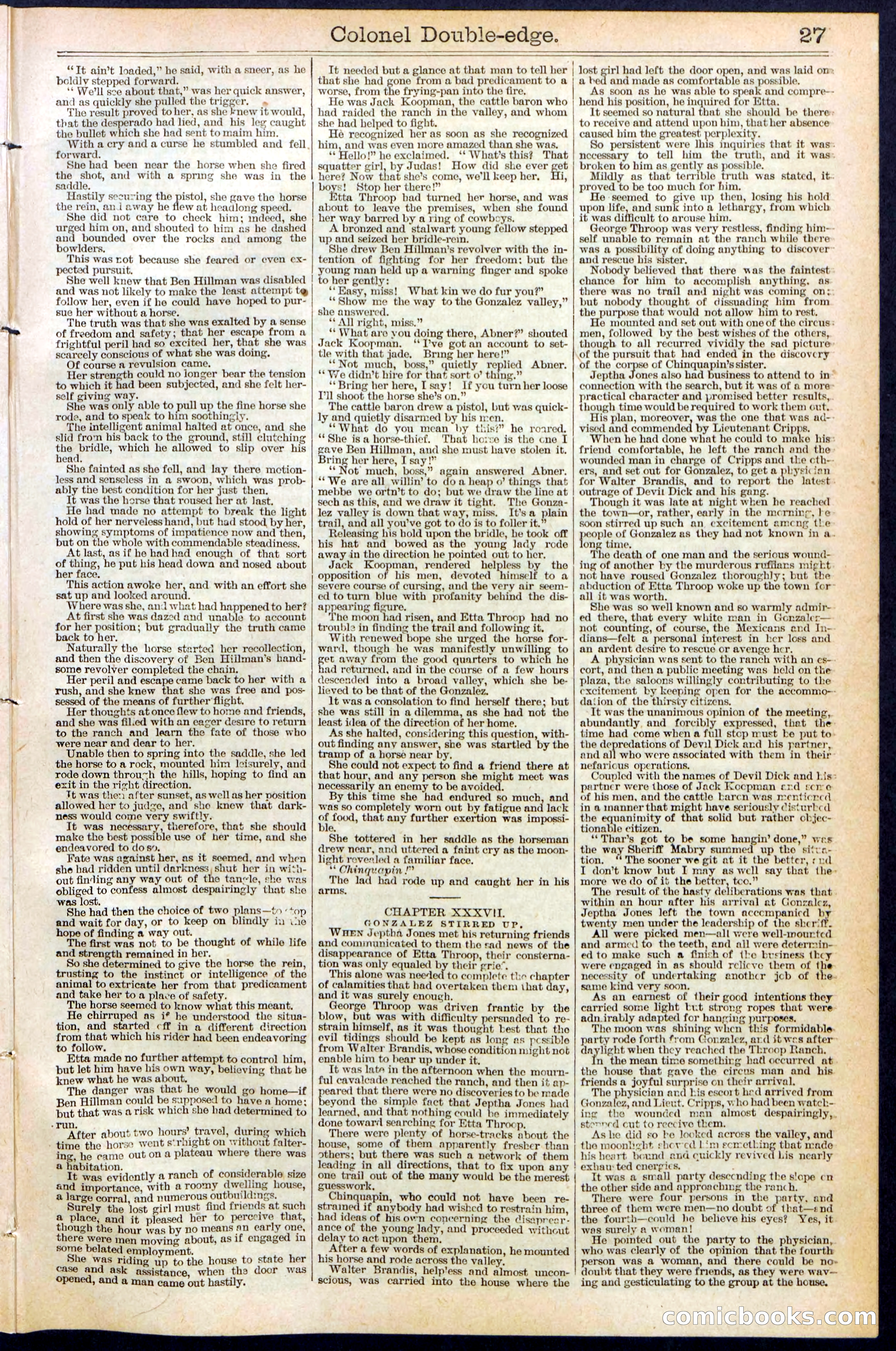 Beadle's New York Dime Library No. 389 — page 27 of 32