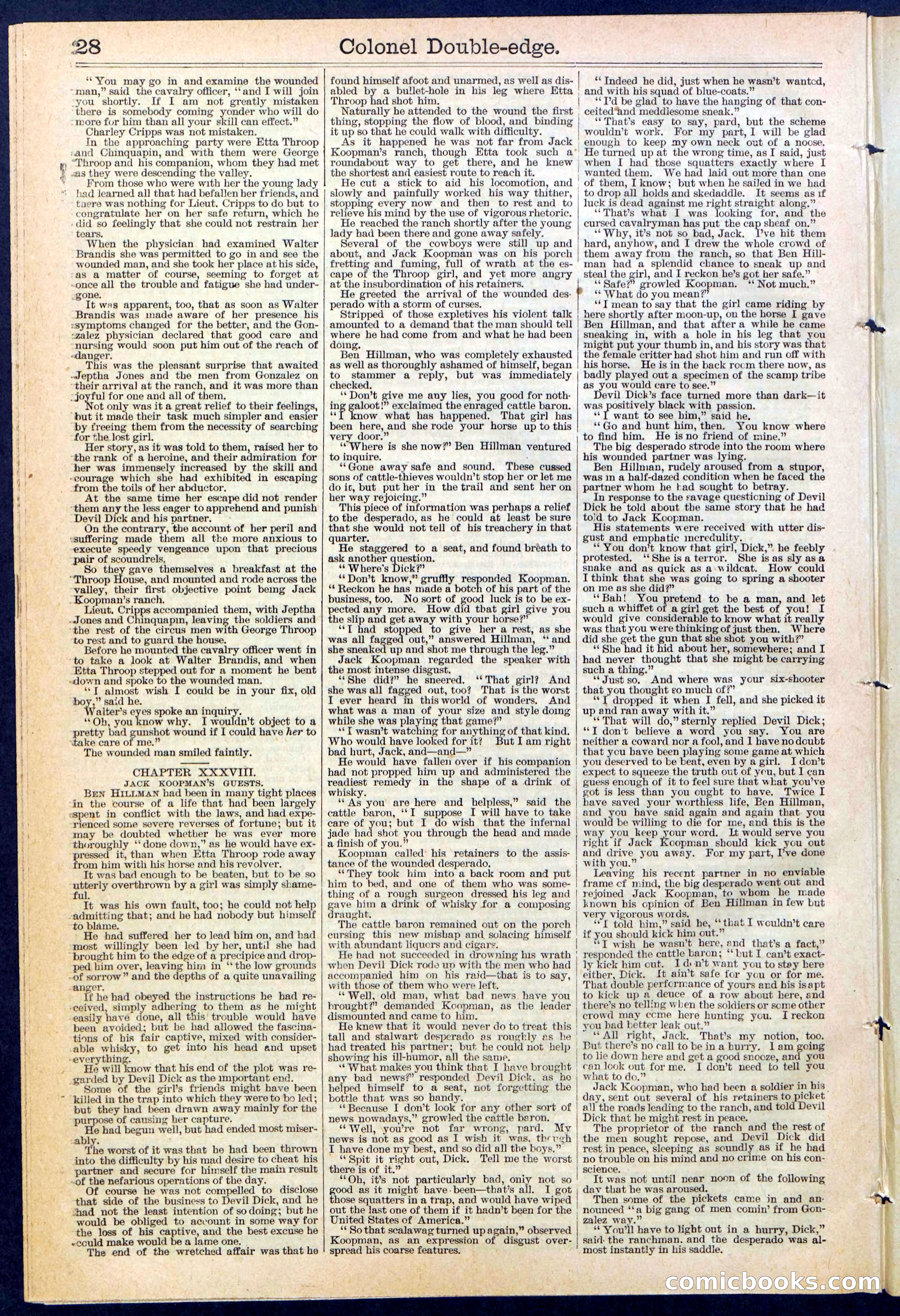 Beadle's New York Dime Library No. 389 — page 28 of 32