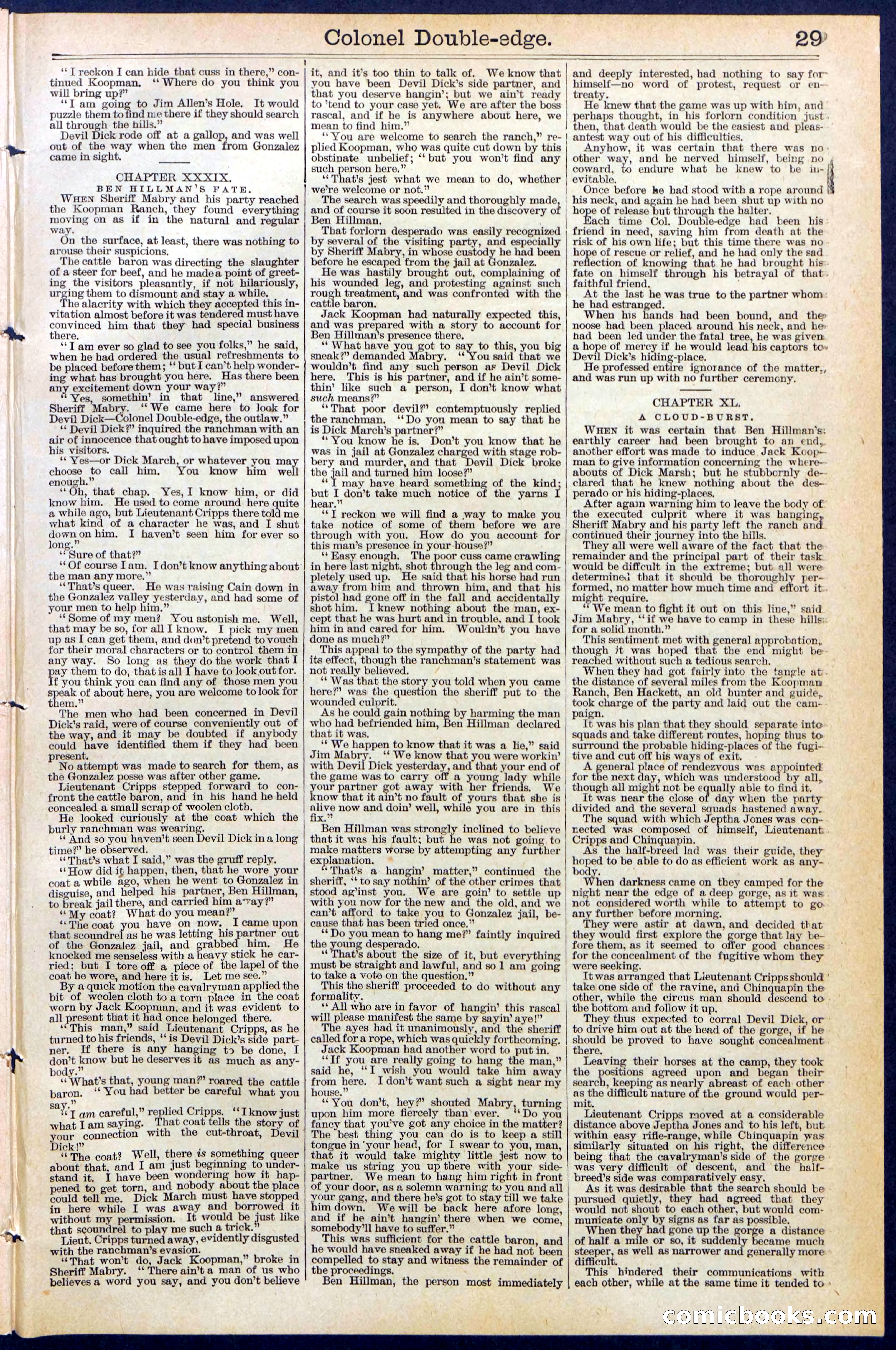 Beadle's New York Dime Library No. 389 — page 29 of 32