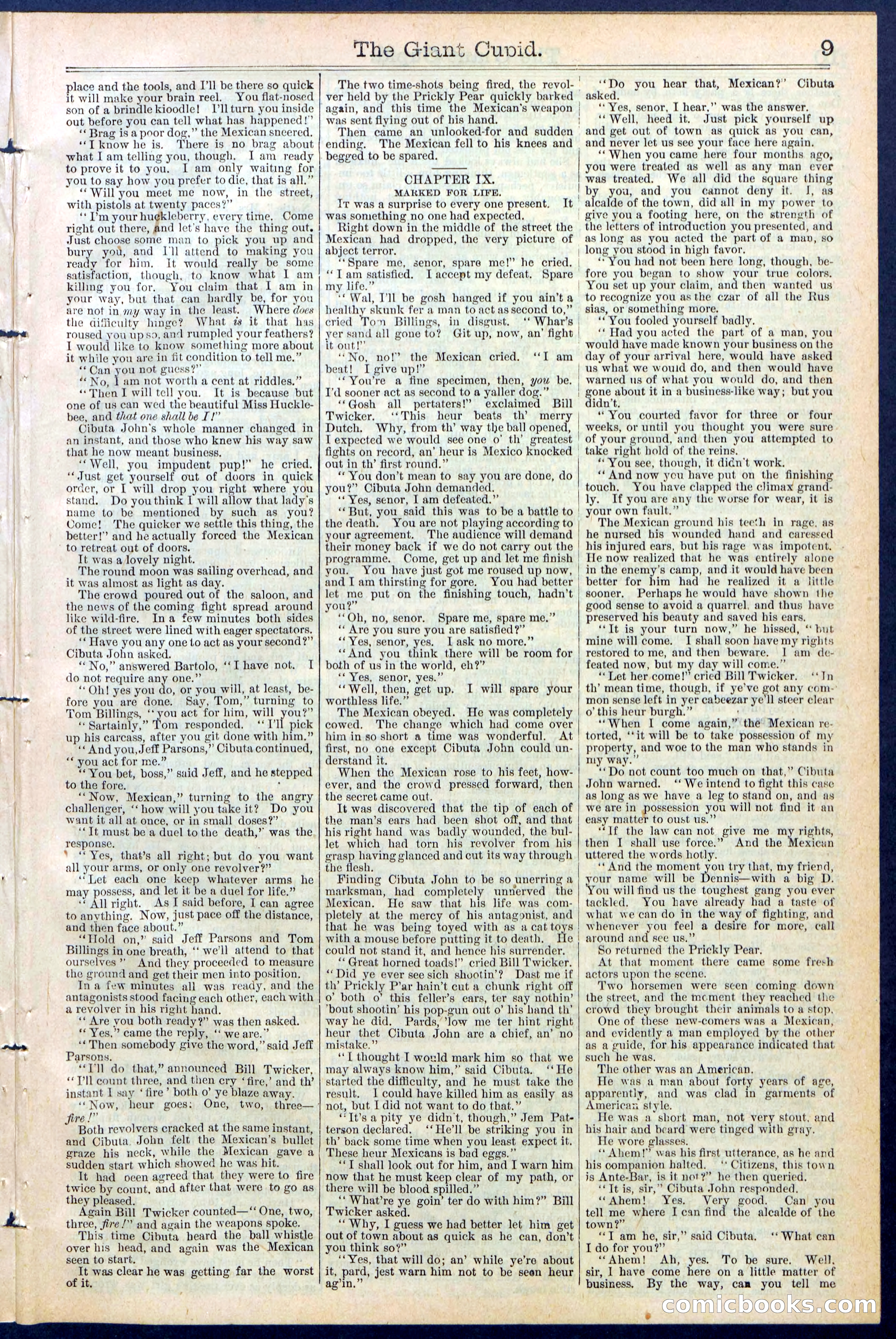 Beadle's New York Dime Library, No. 390 — page 9 of 32